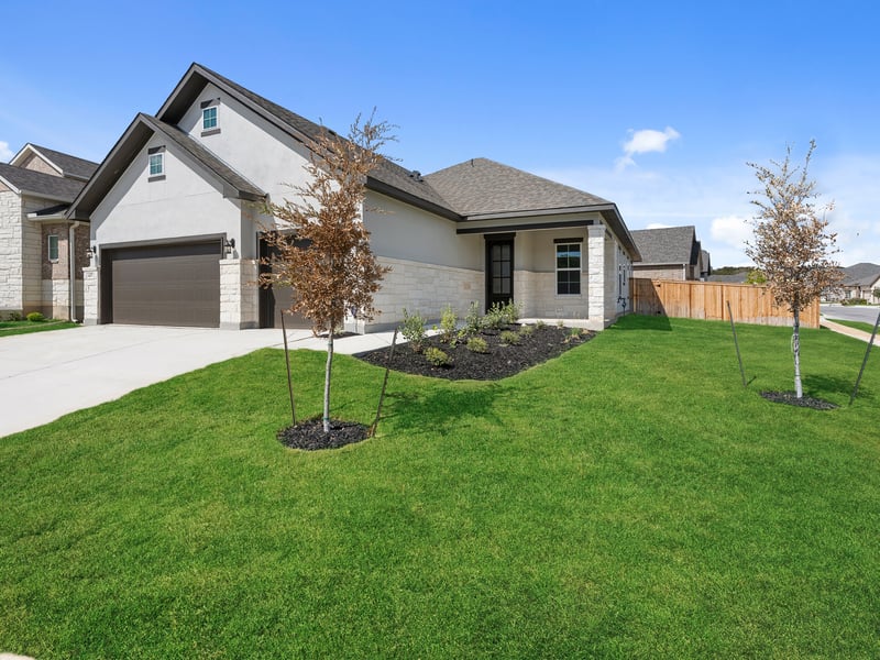 Card image for Live Oak