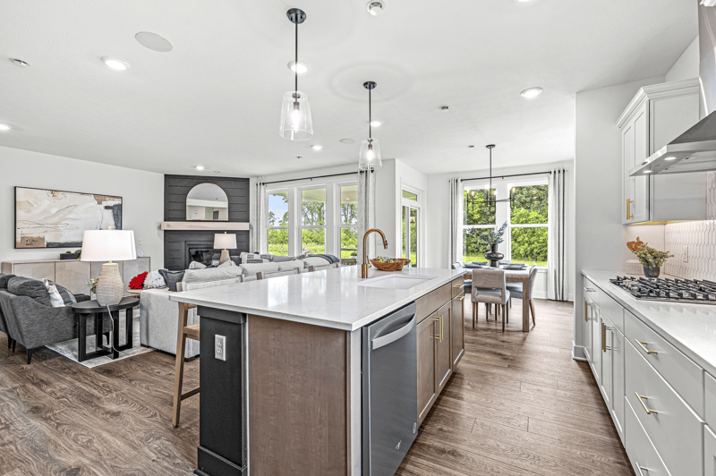 1ca409d7-efca-4221-b462-1646a79051db