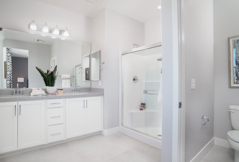 9884a528-e42f-47e6-9ca9-d914d877c6ab