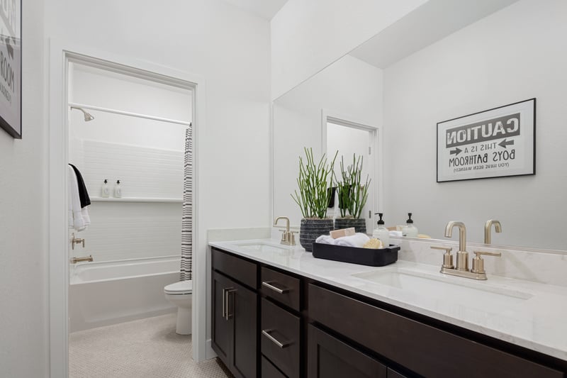 d55822bb-5fbc-41e8-be70-4492fff1e50a