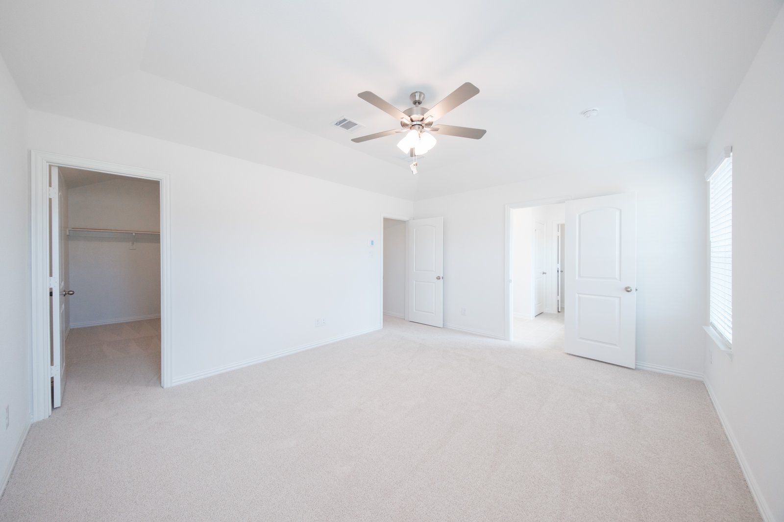 primary bedroom with carpet and windows