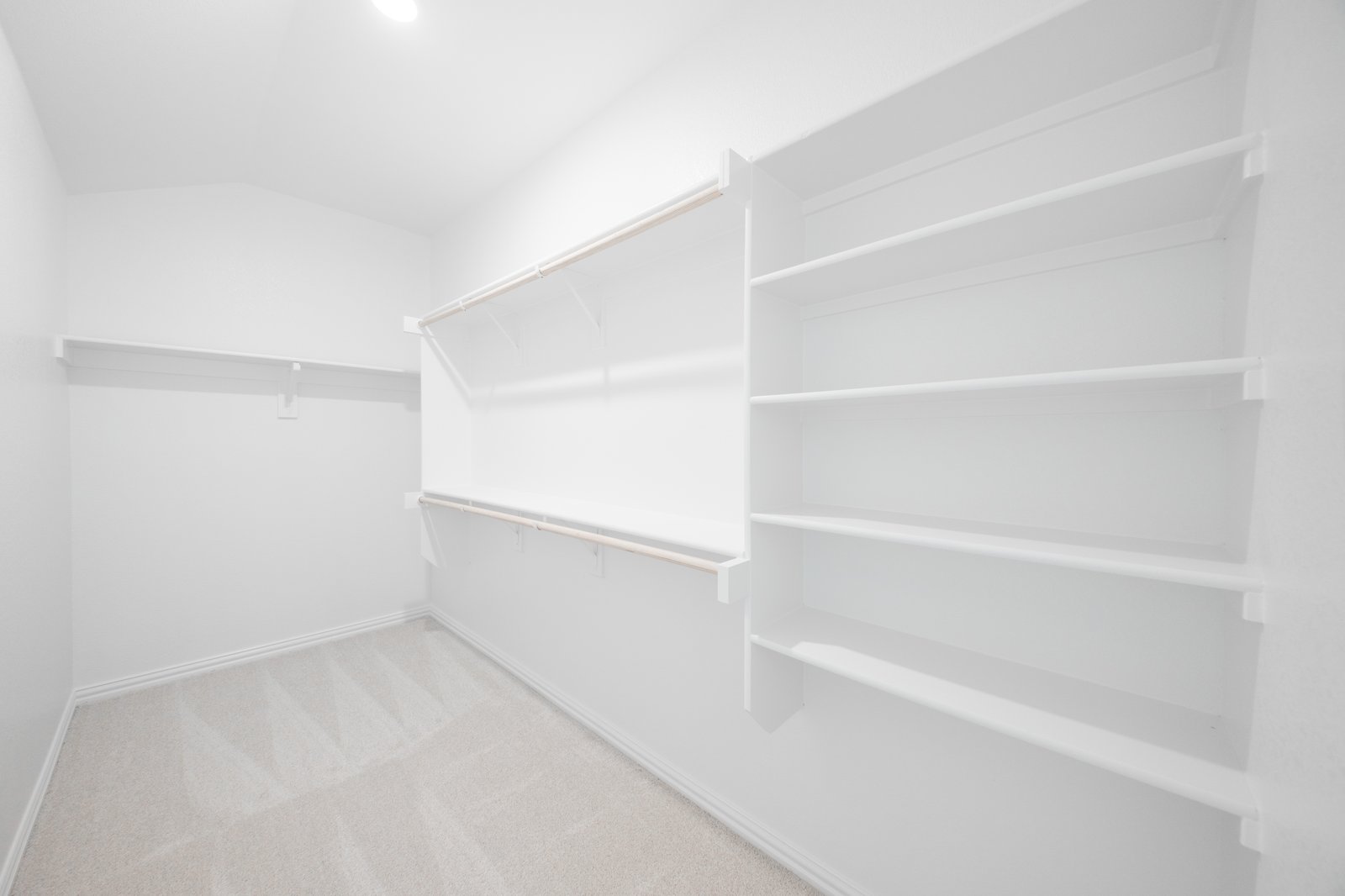 primary bedroom closet with carpet and white shelves