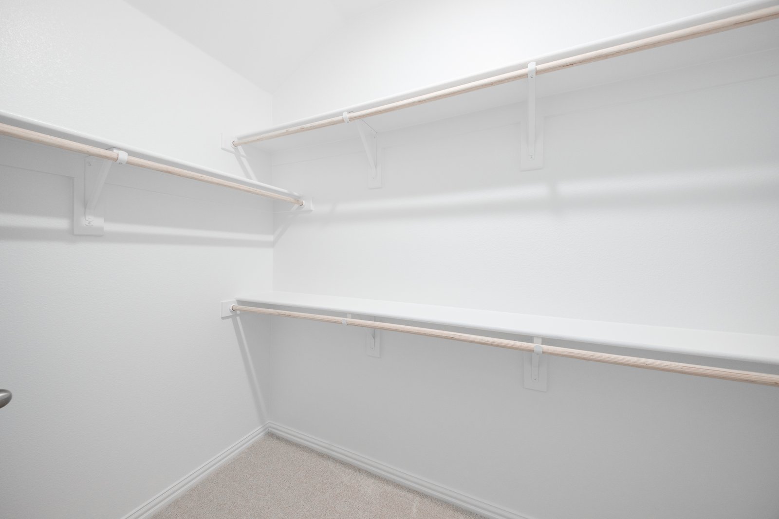 primary bedroom closet with carpet and white shelves