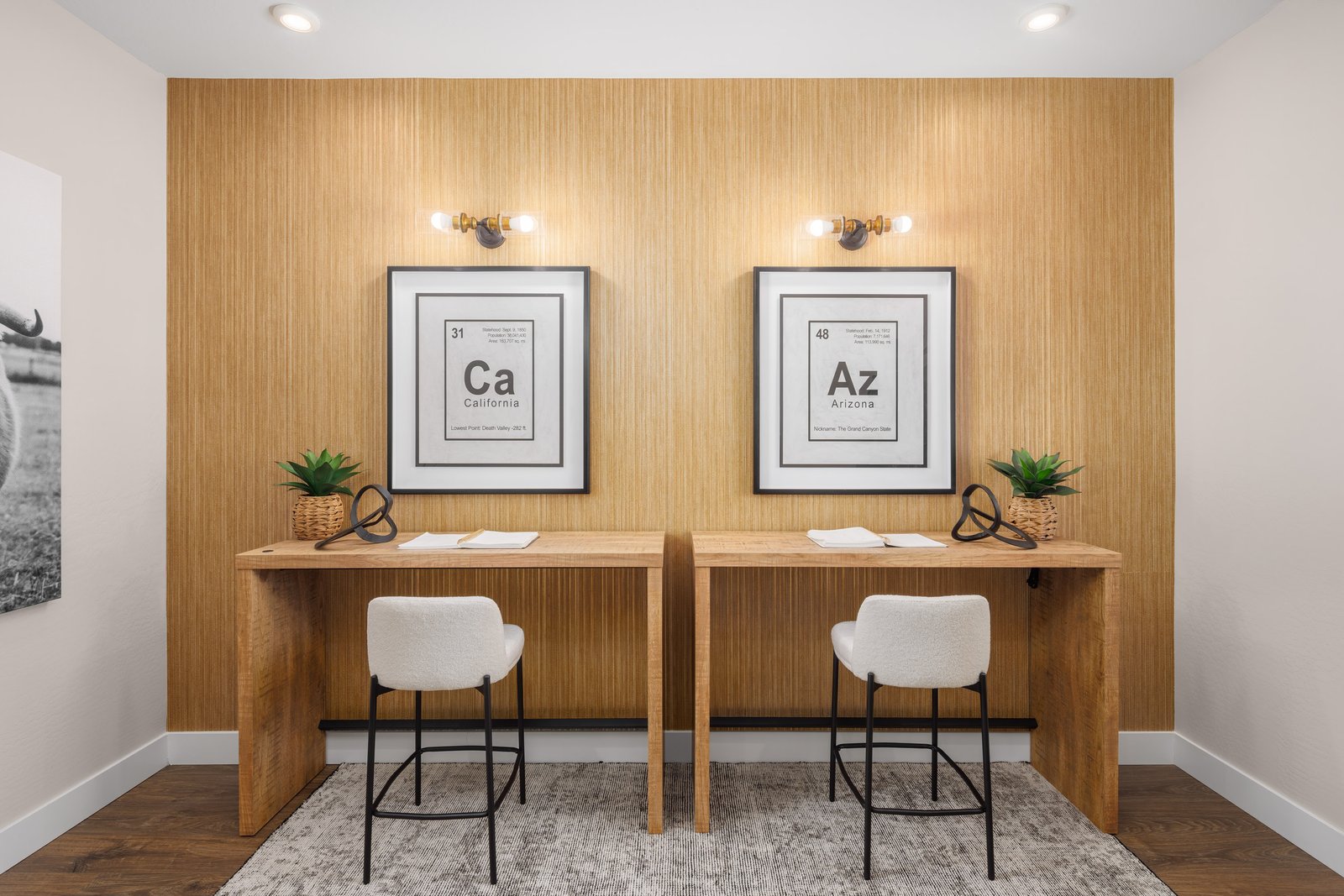 spacious multi-use room for reading, entertainment or at home office