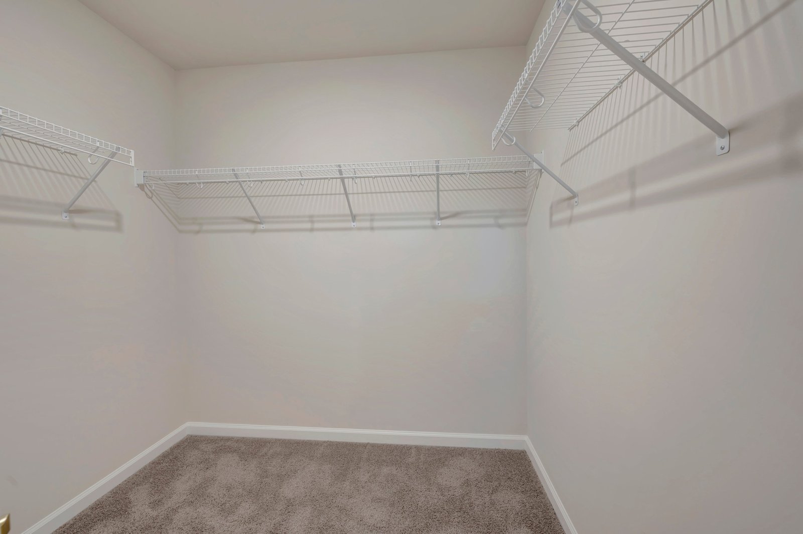 primary walk-in closet with carpet