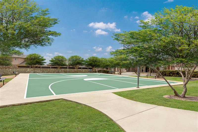 basketball court with trees