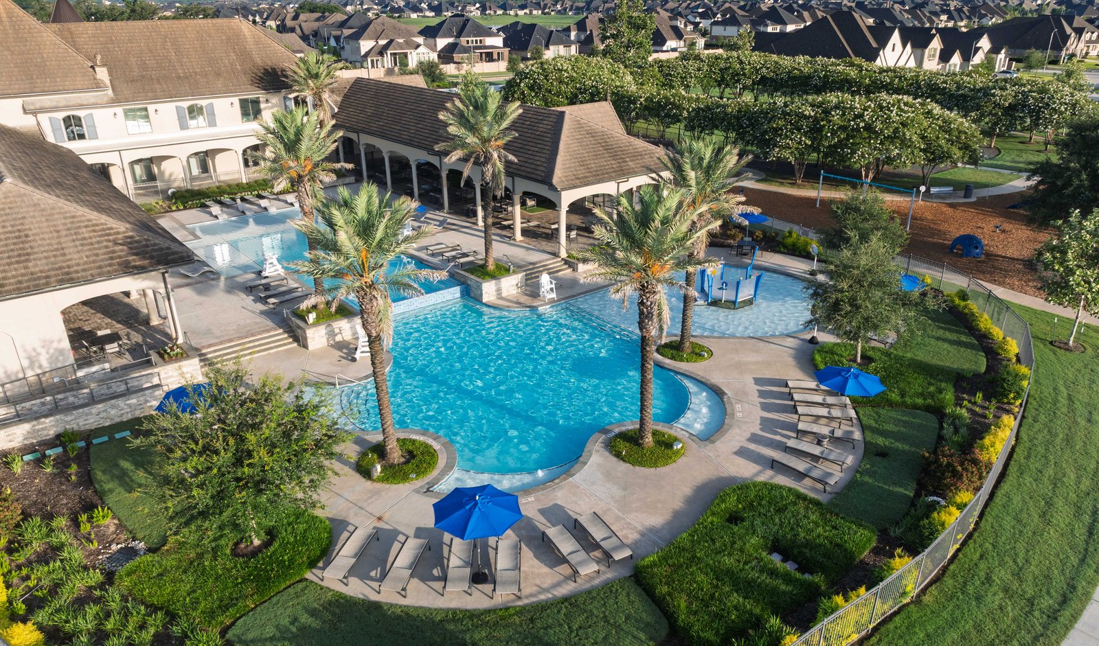 resort-style pool with palm trees