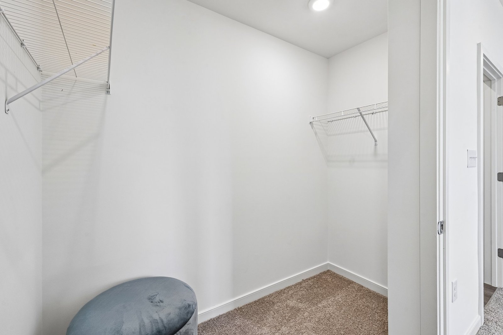 primary walk-in closet with carpet