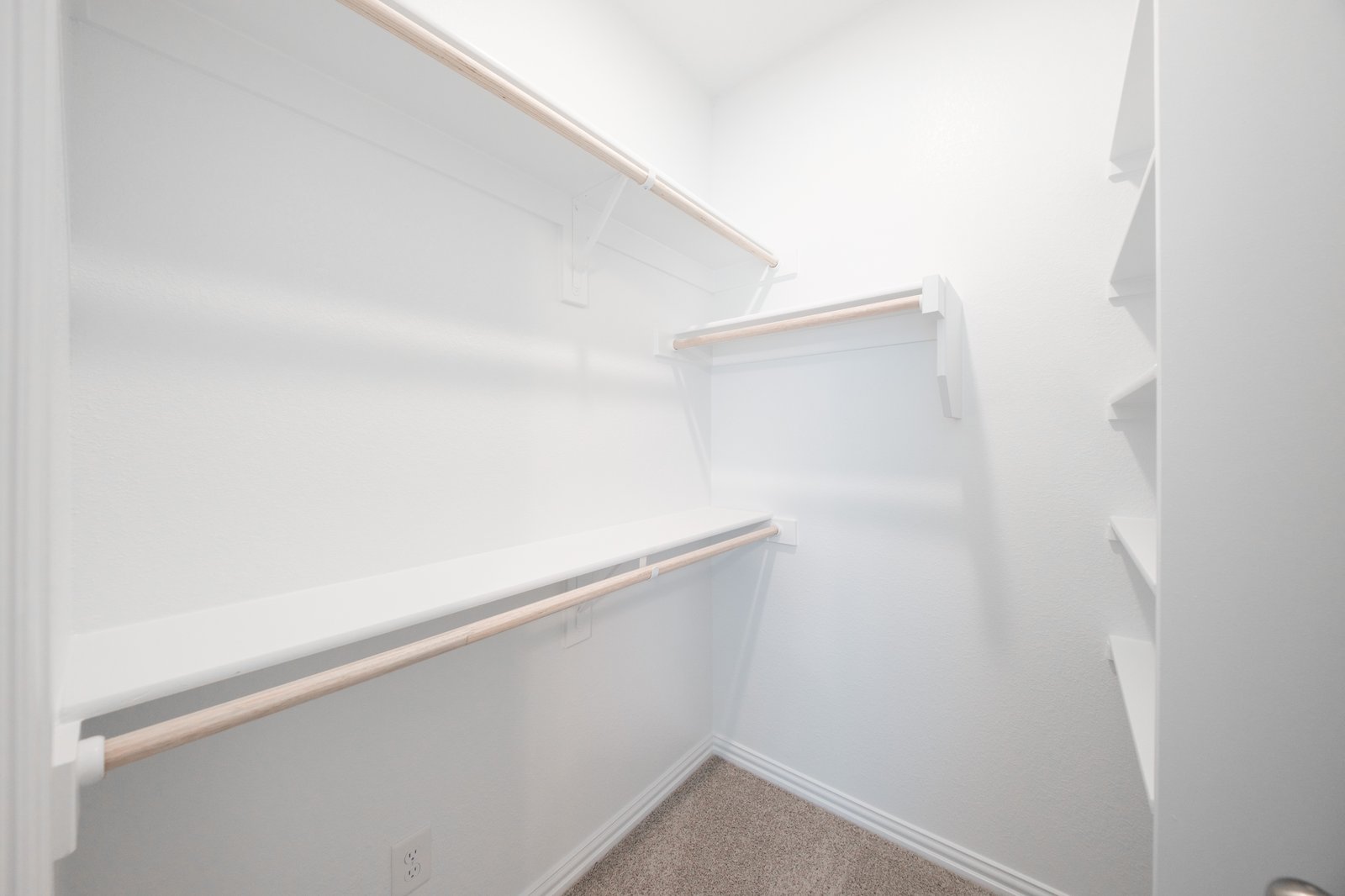 primary bedroom closet with carpet and white shelves