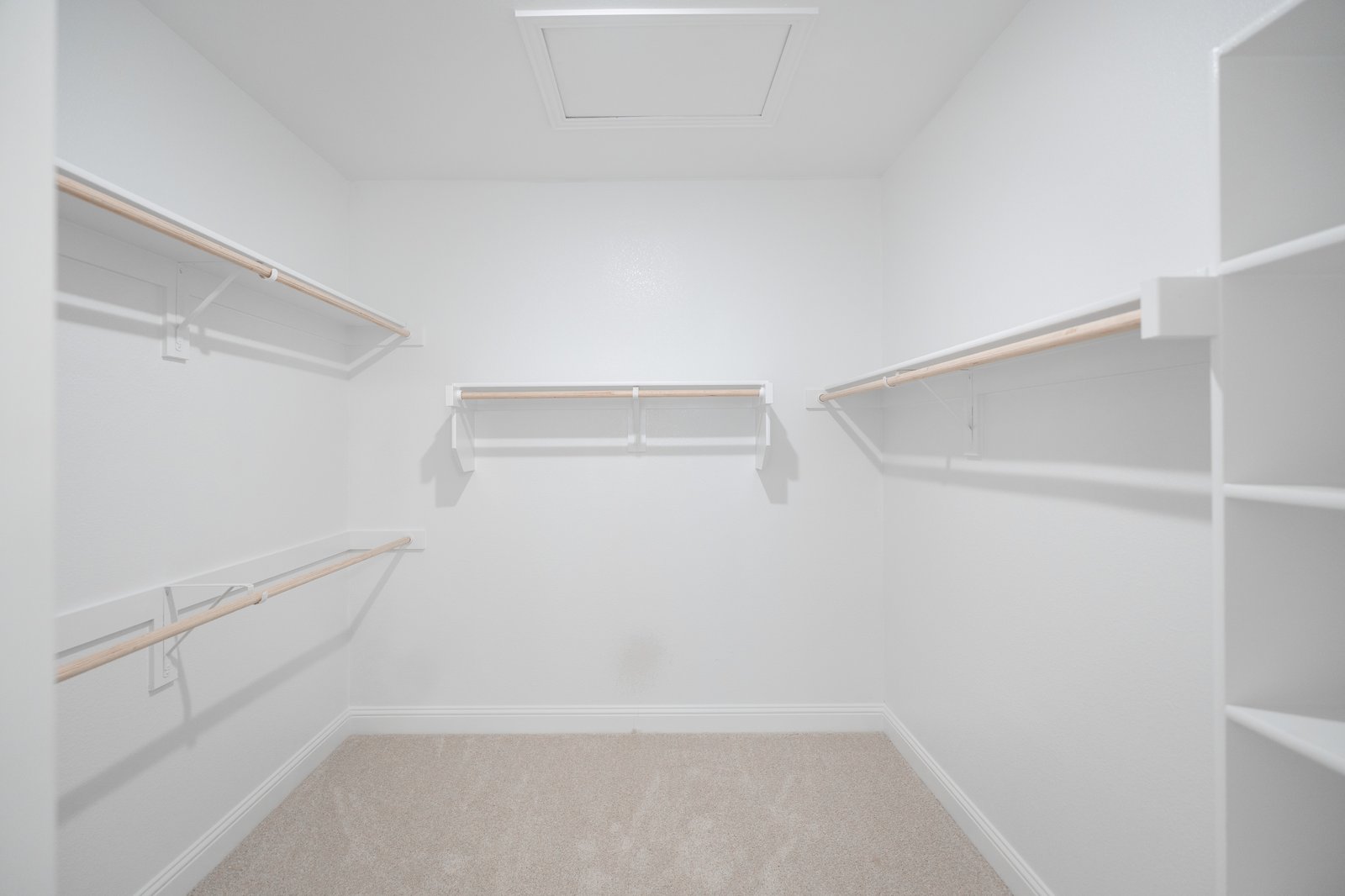 primary bedroom closet with carpet and white shelves