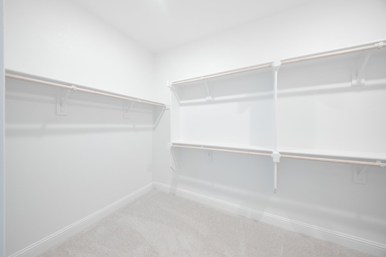 primary bedroom closet with carpet and white shelves