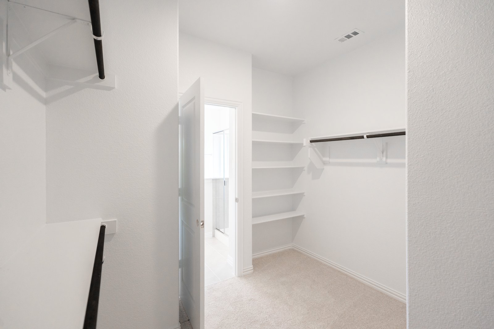 closet with carpet and shelves 