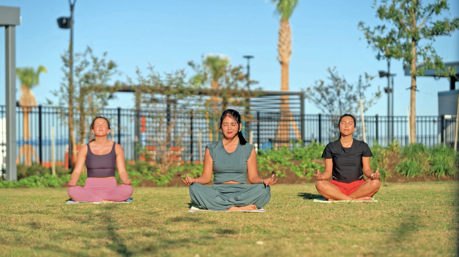 yoga_nov25.png