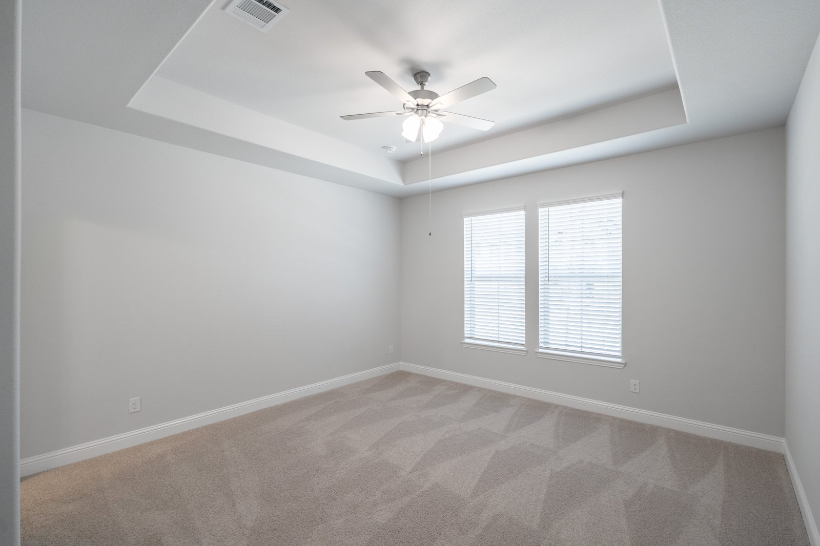primary bedroom with carpet and windows
