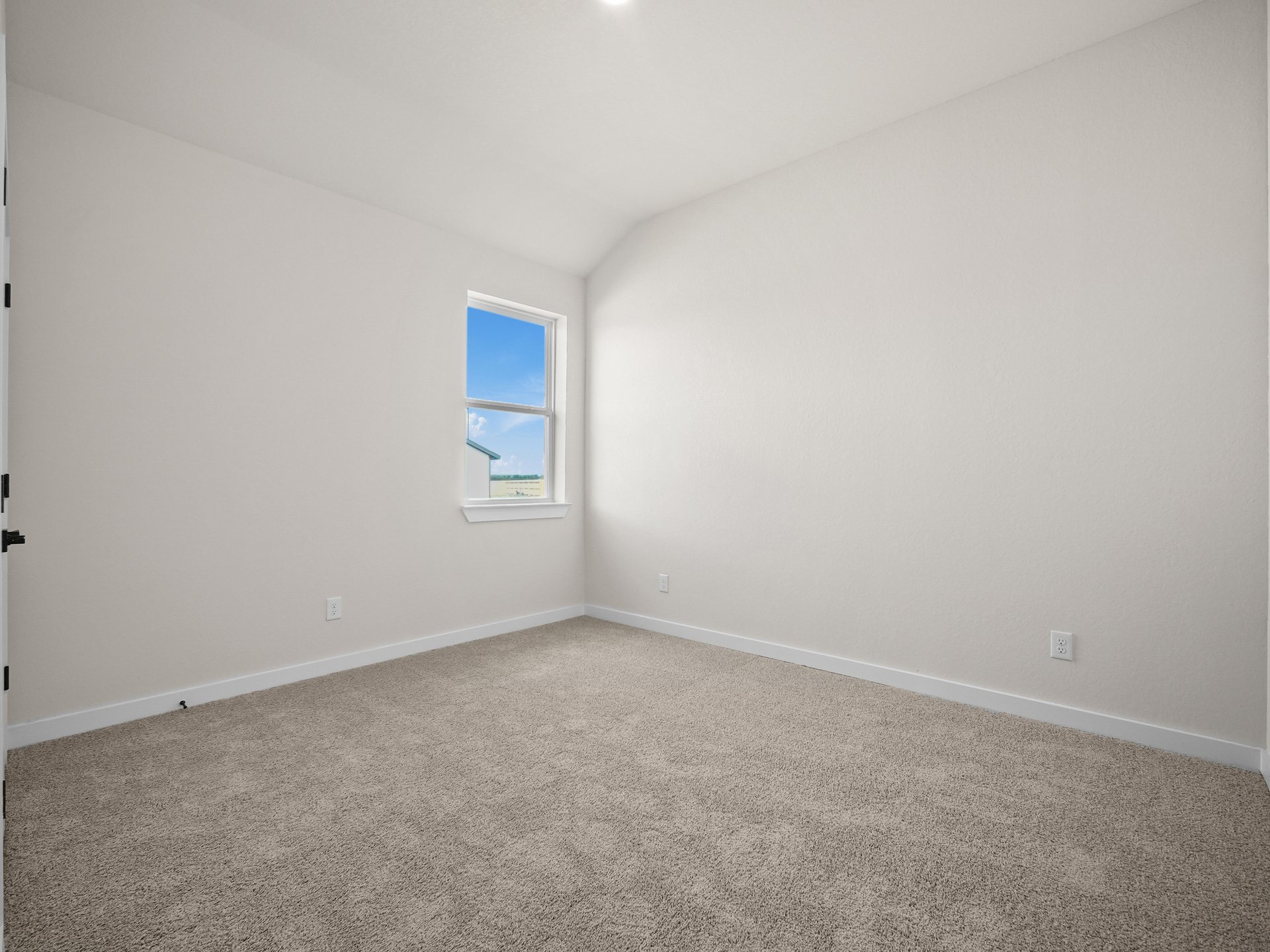 secondary bedroom with carpet and window