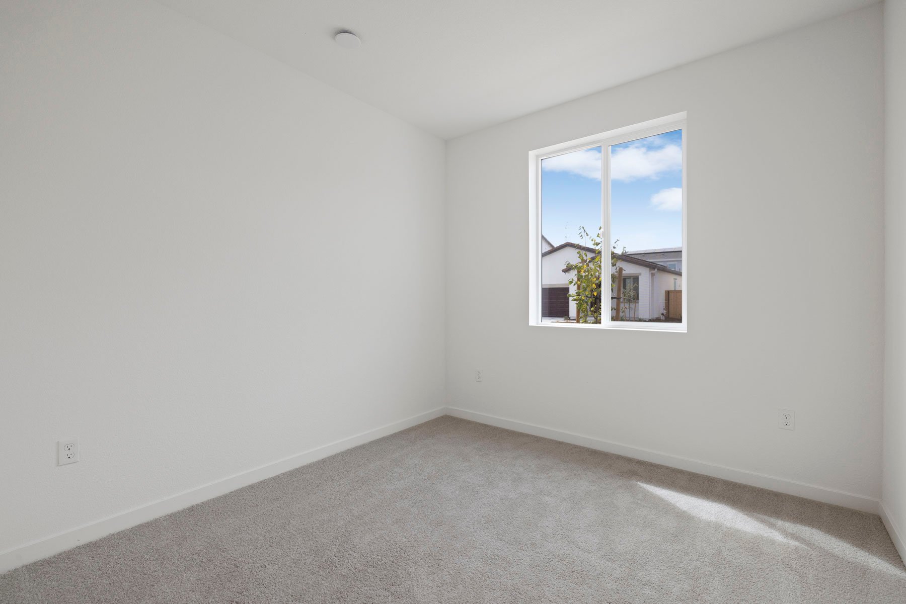 bedroom with tan carpet, white walls, and window