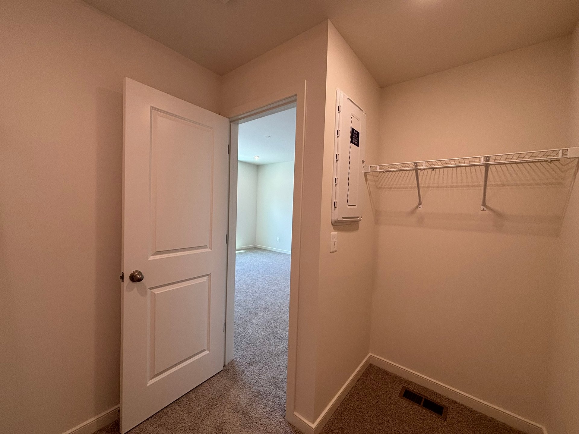 walk-in closet with carpet and a wire shelf