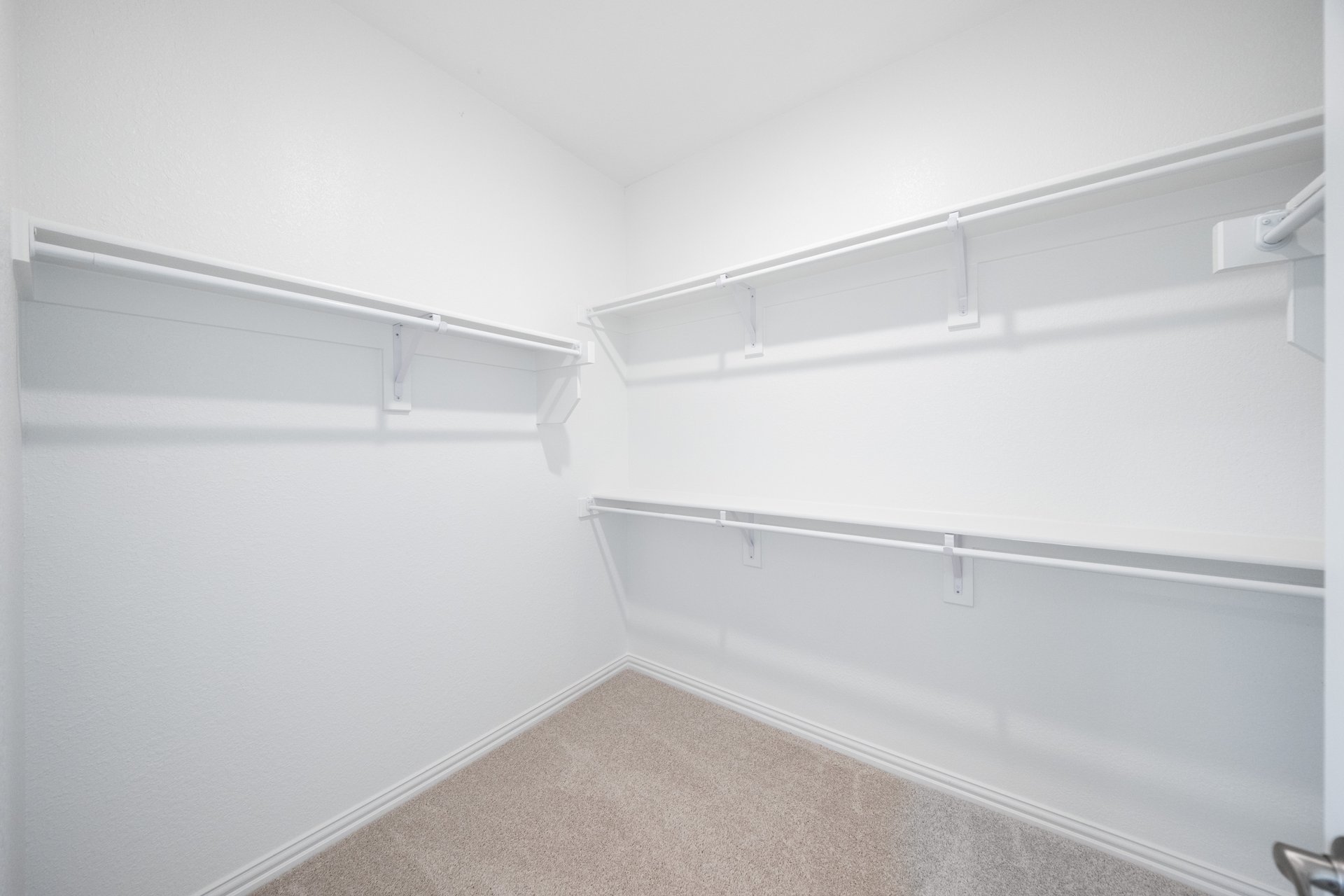 primary bedroom closet with carpet and white shelves