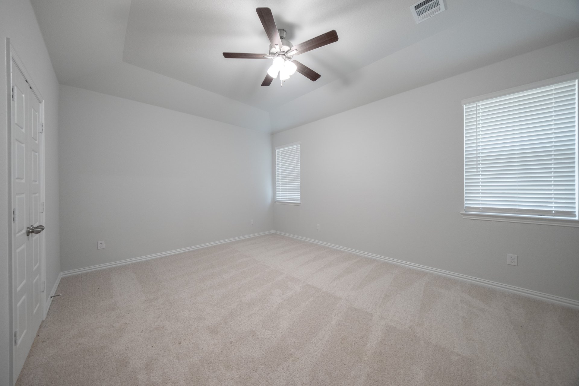 primary bedroom with carpet and windows