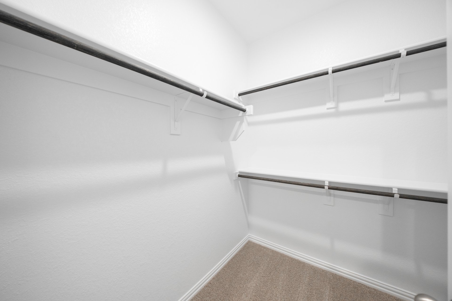 closet with hanging racks and carpet 