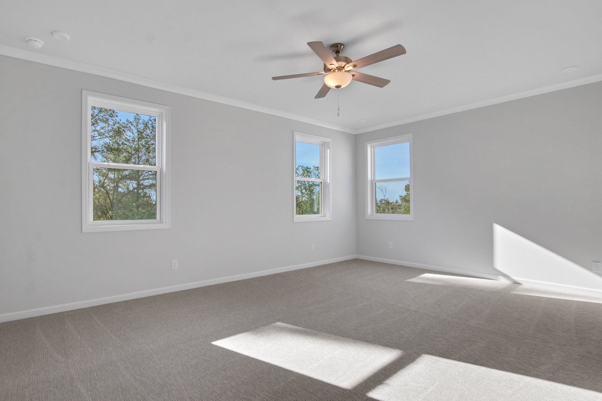 primary bedroom with windows and carpet