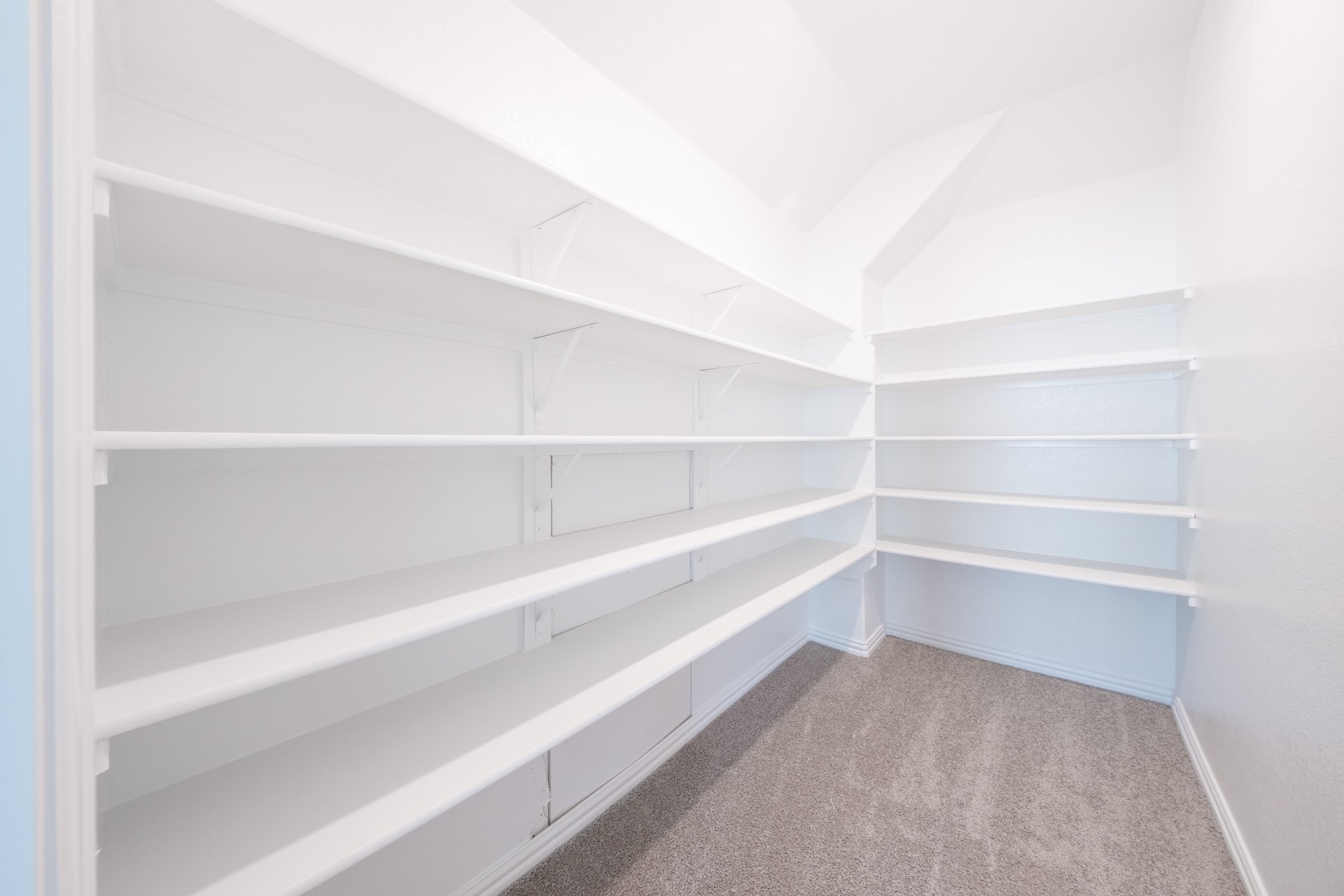 closet with shelves along the walls and carpet 