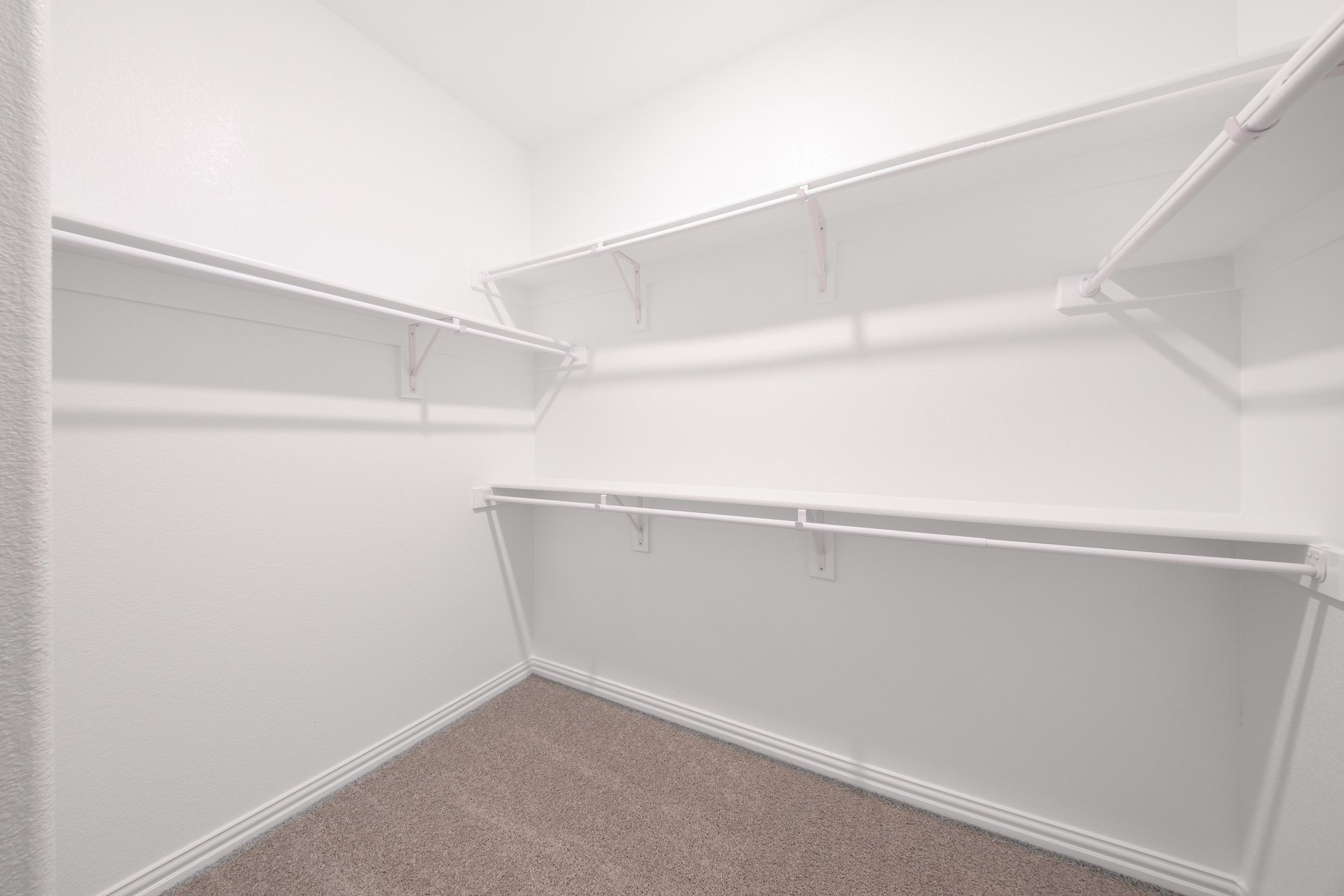 closet with carpet and hanging racks 