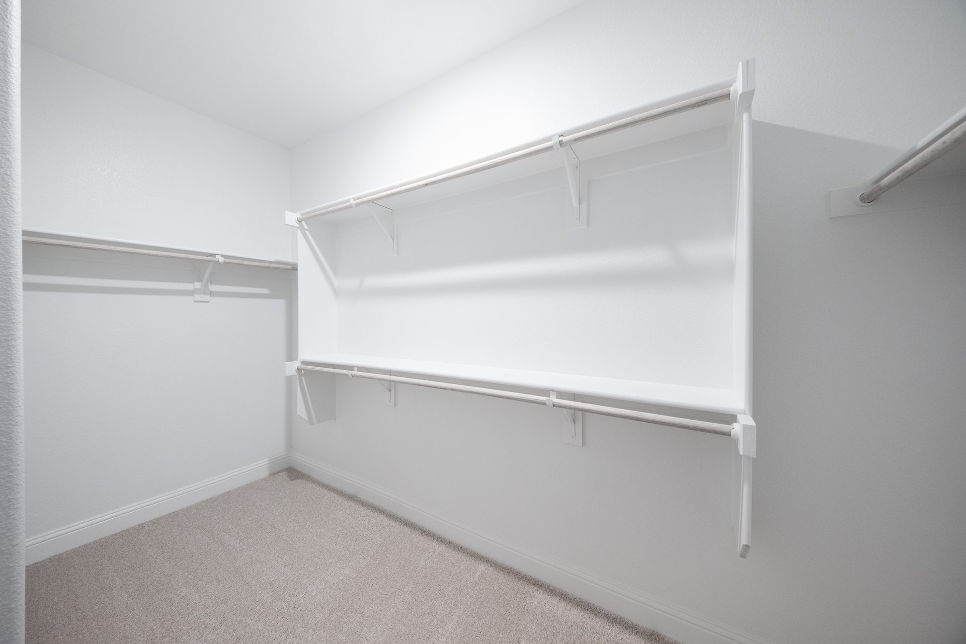 closet with carpet and hanging racks 