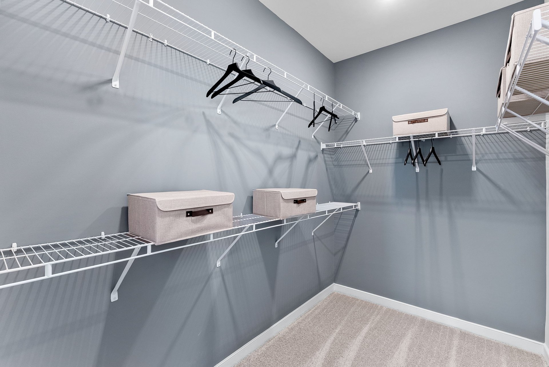 walk-in closet with carpet and wire shelves