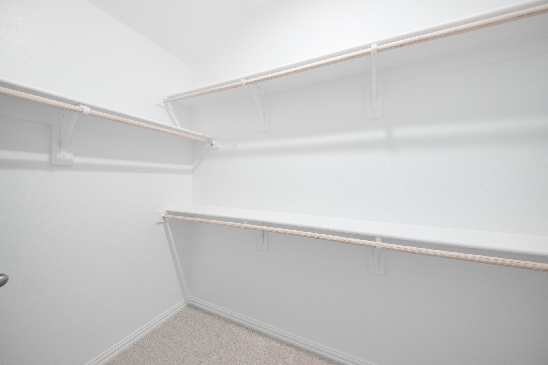 primary bedroom closet with carpet and white shelves