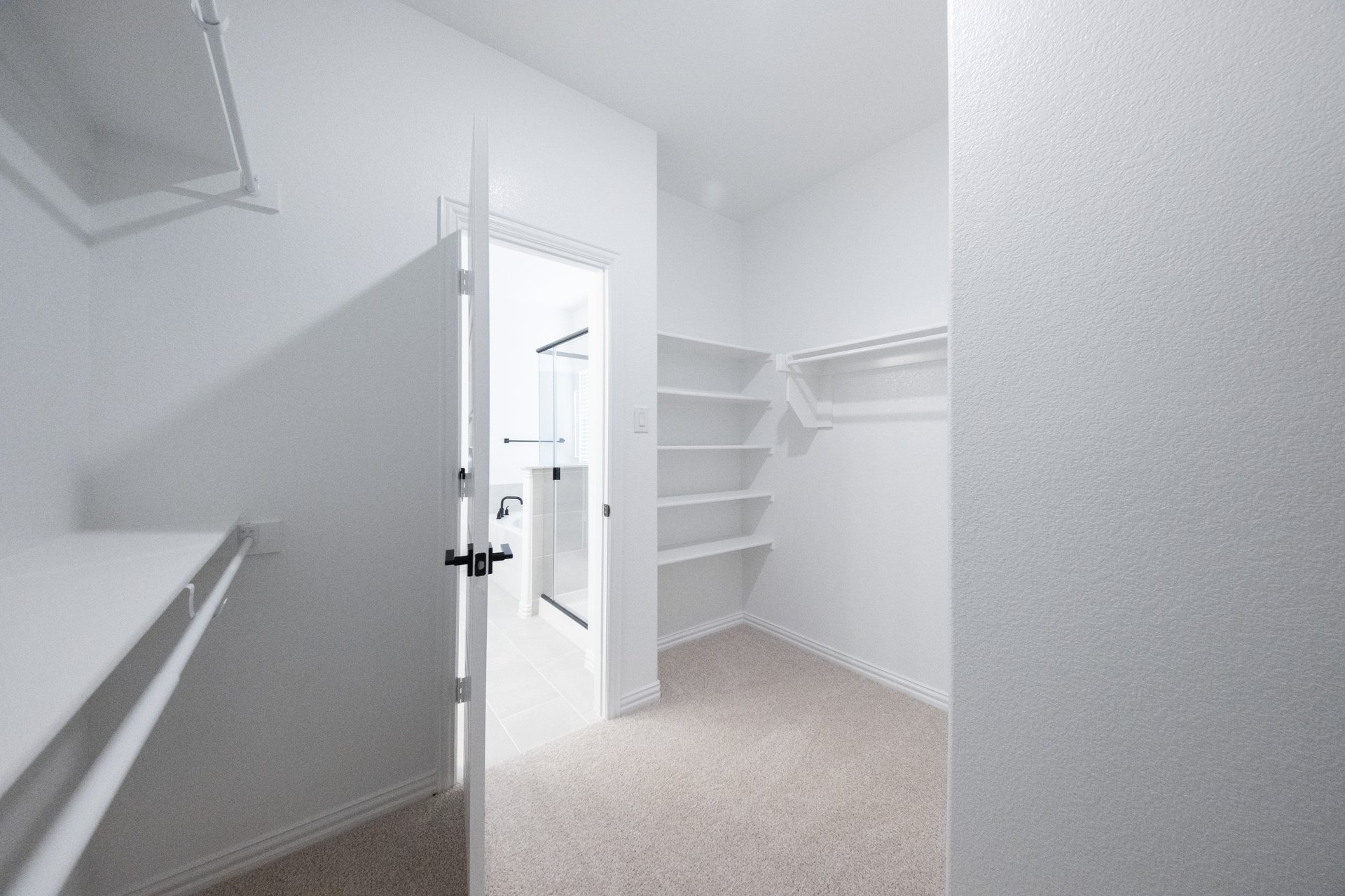 primary bedroom closet with carpet and white shelves