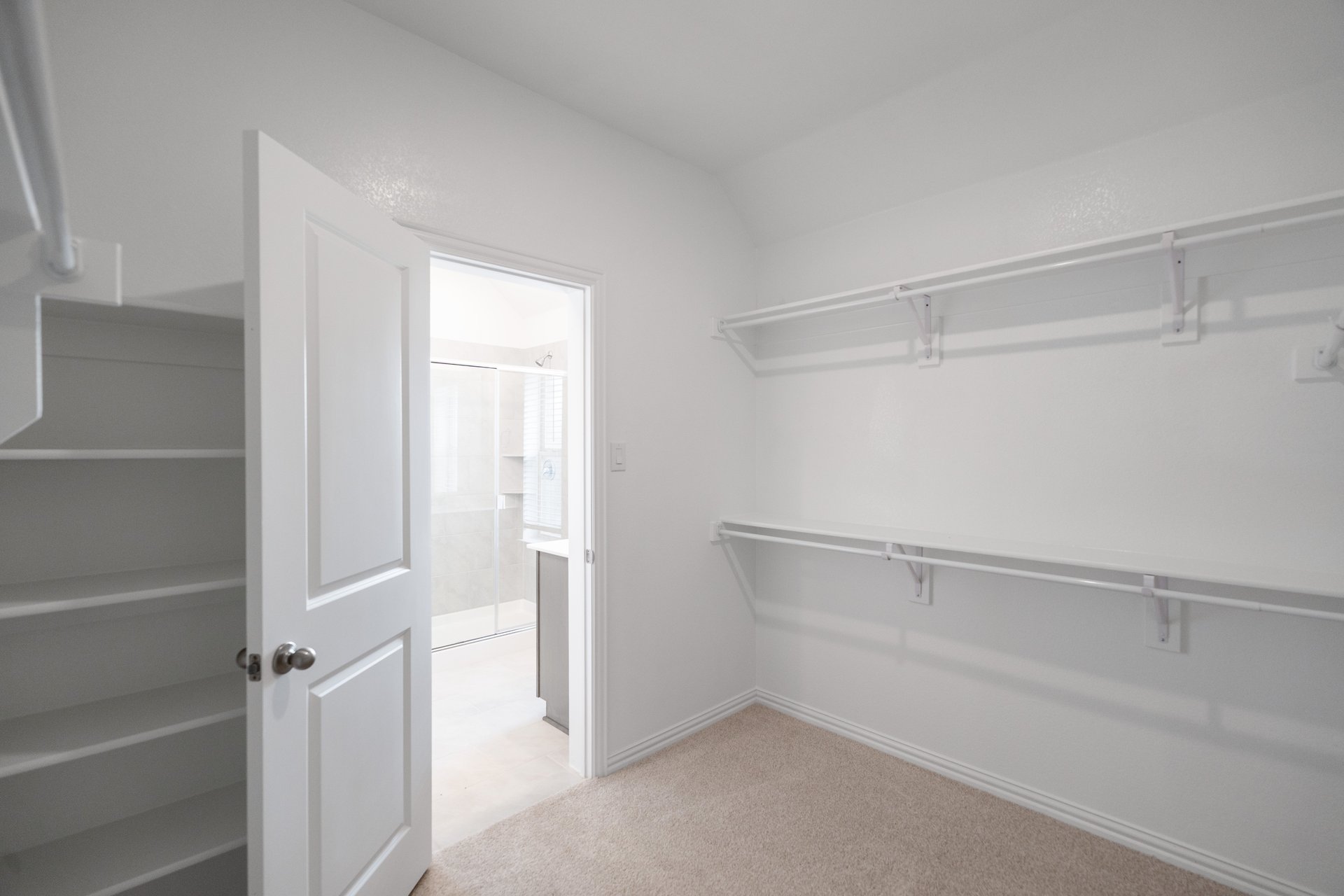 primary bedroom closet with carpet and white shelves