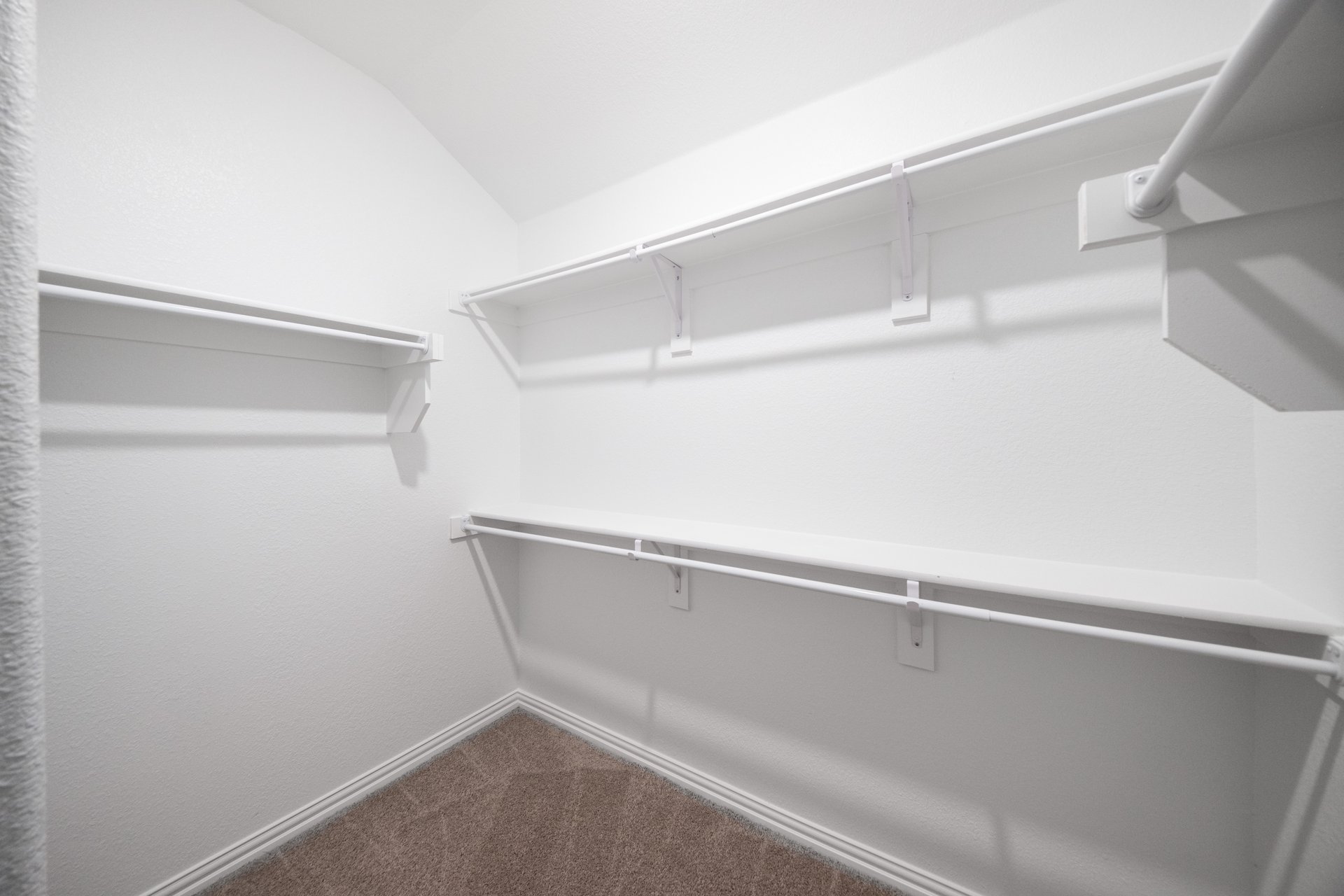 primary bedroom closet with carpet and white shelves