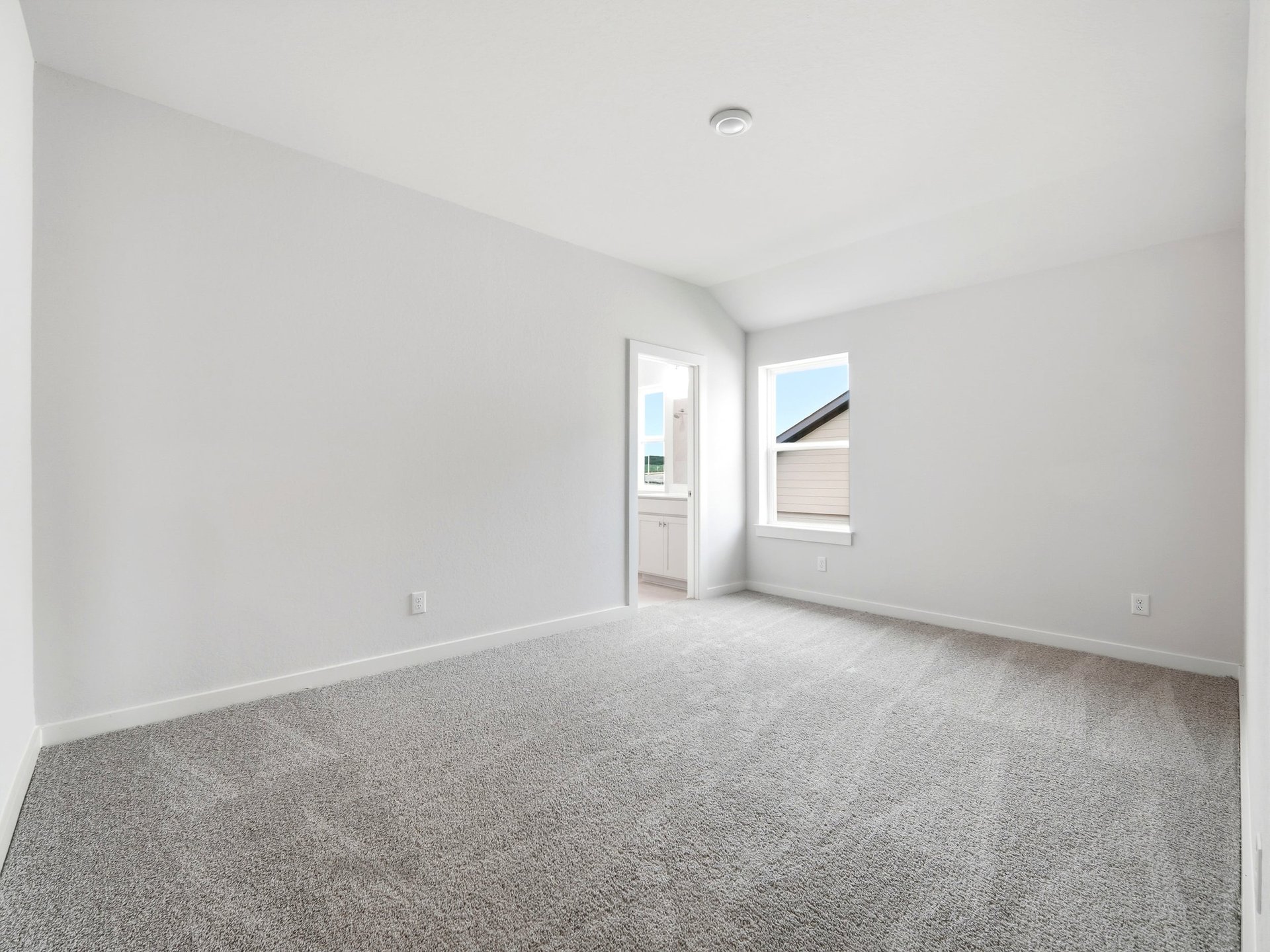 secondary bedroom with carpet, window and lighting