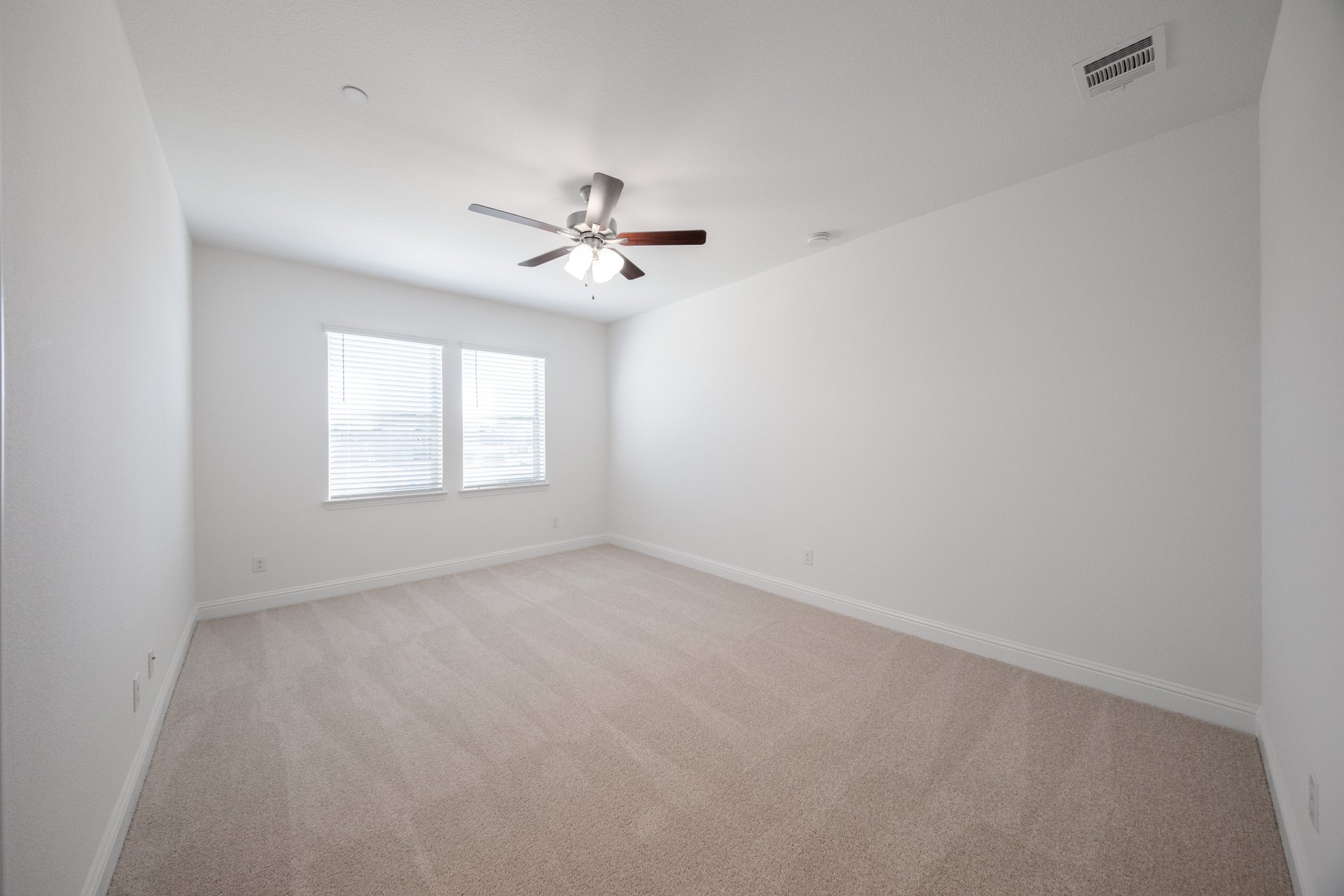 primary bedroom with carpet and windows