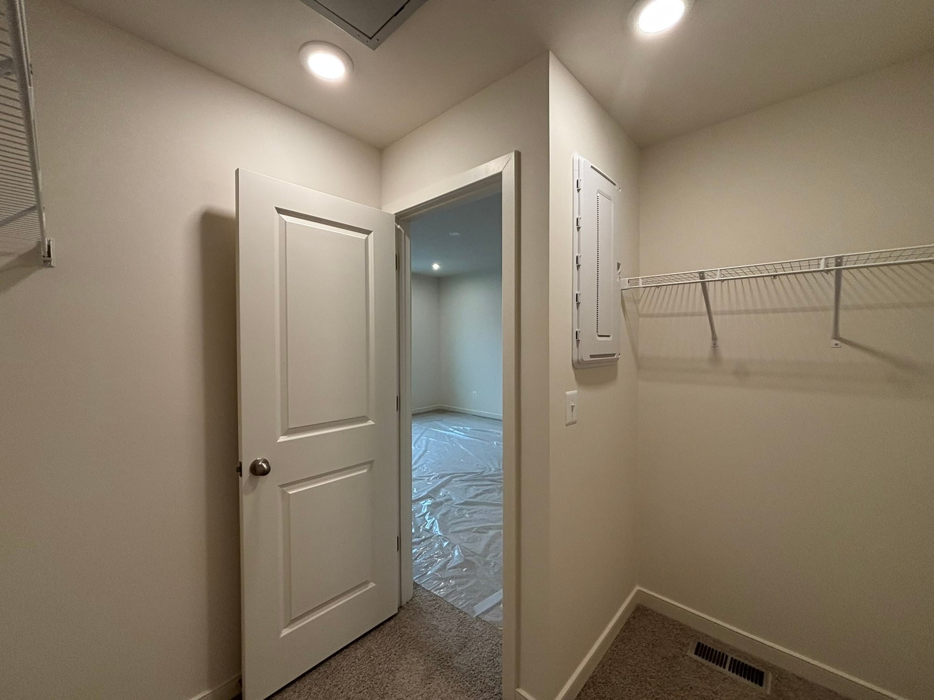 walk-in closet with carpet