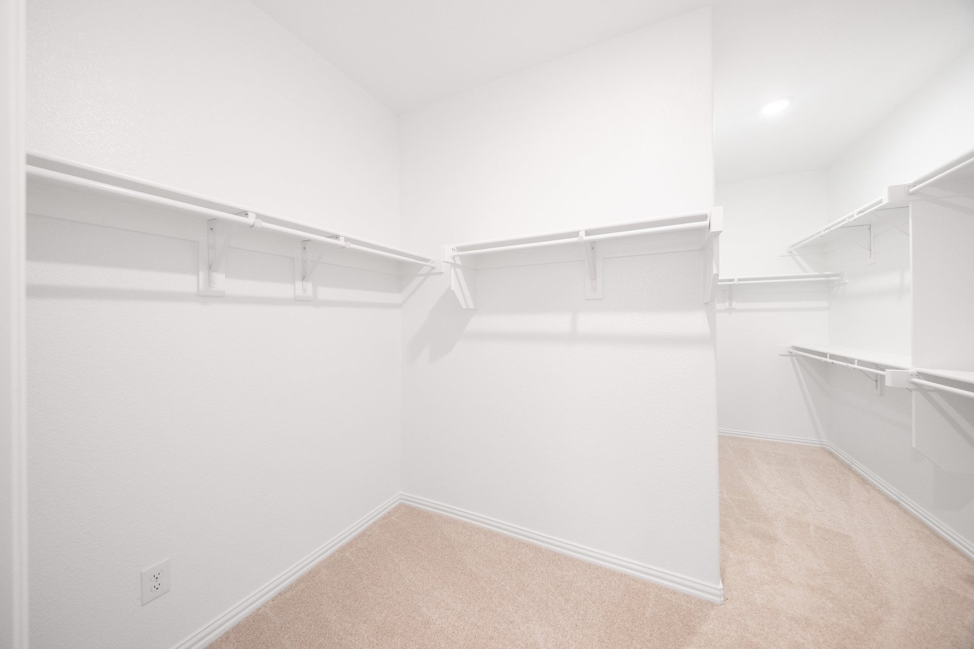 closet with carpet and hanging racks