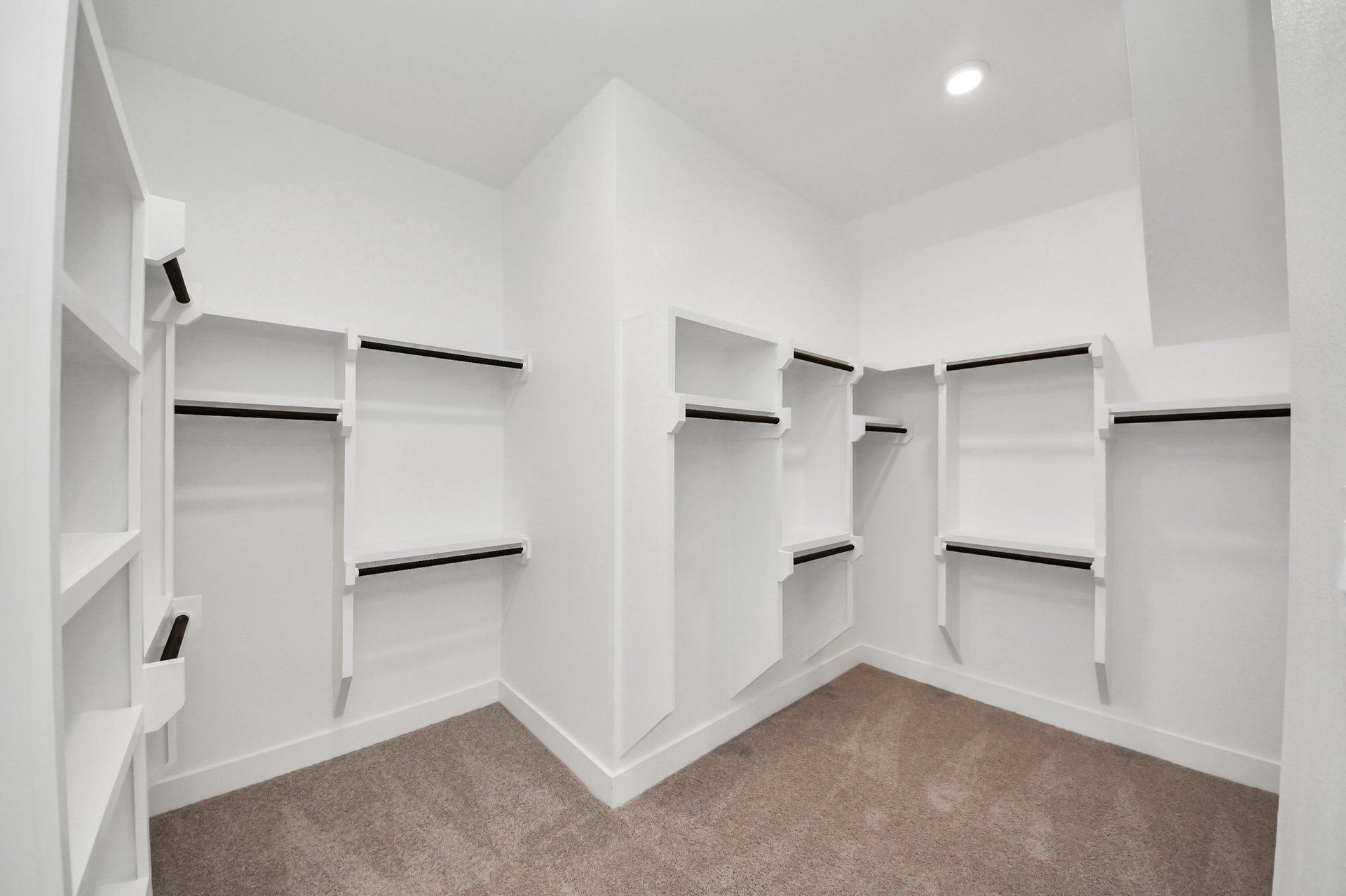 large closet with carpet and built-in shelves