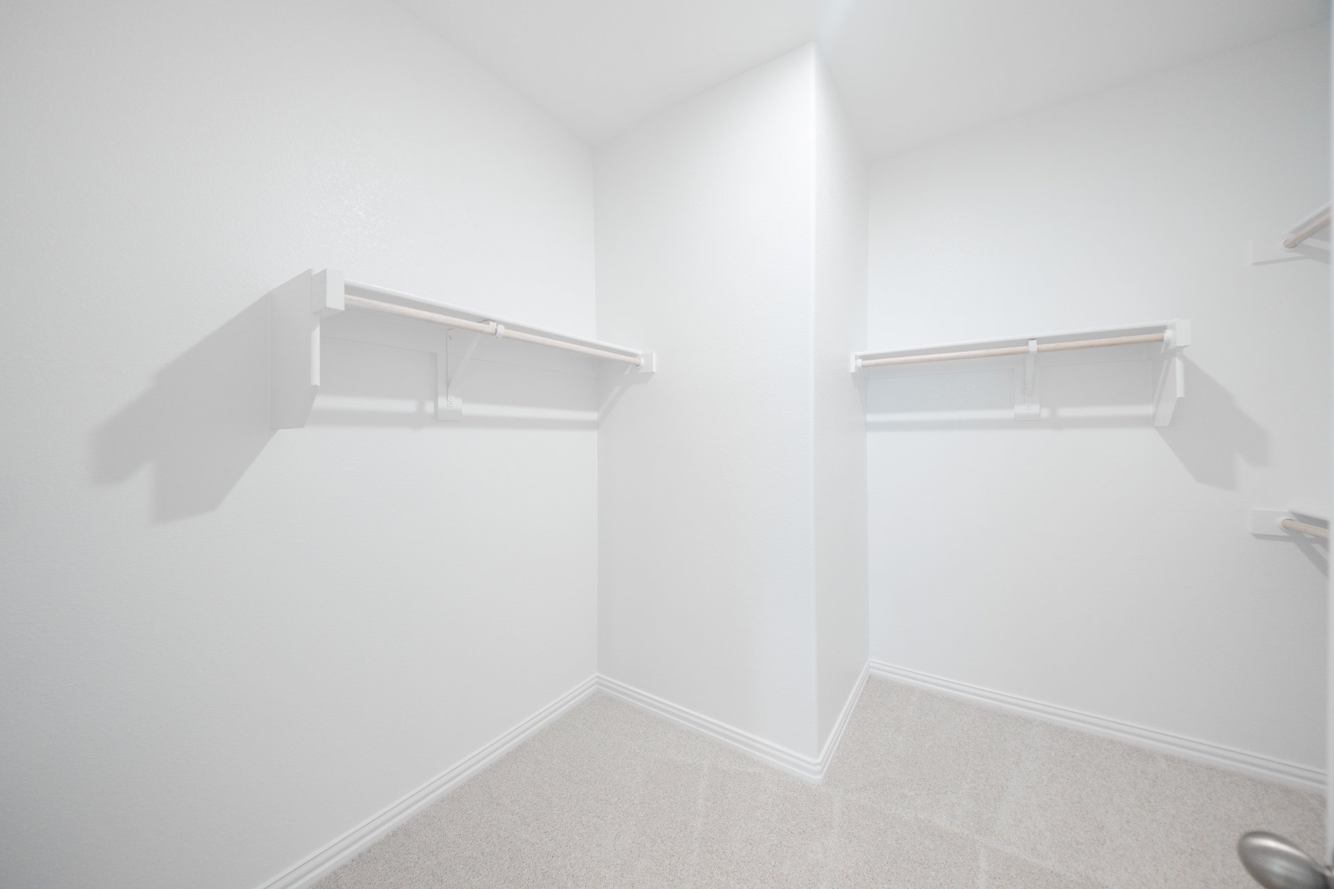 primary bedroom closet with carpet and white shelves