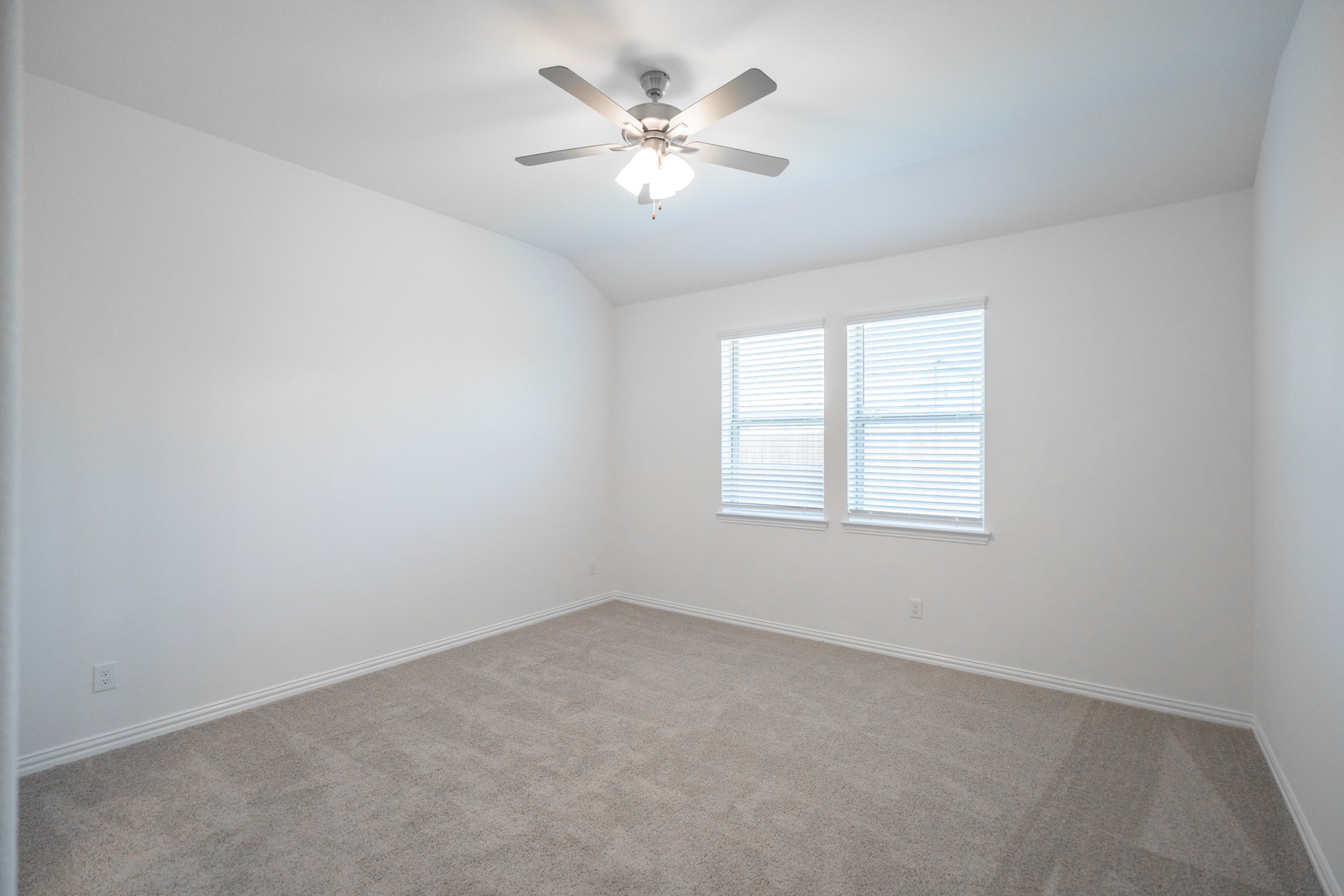 primary bedroom with carpet and windows