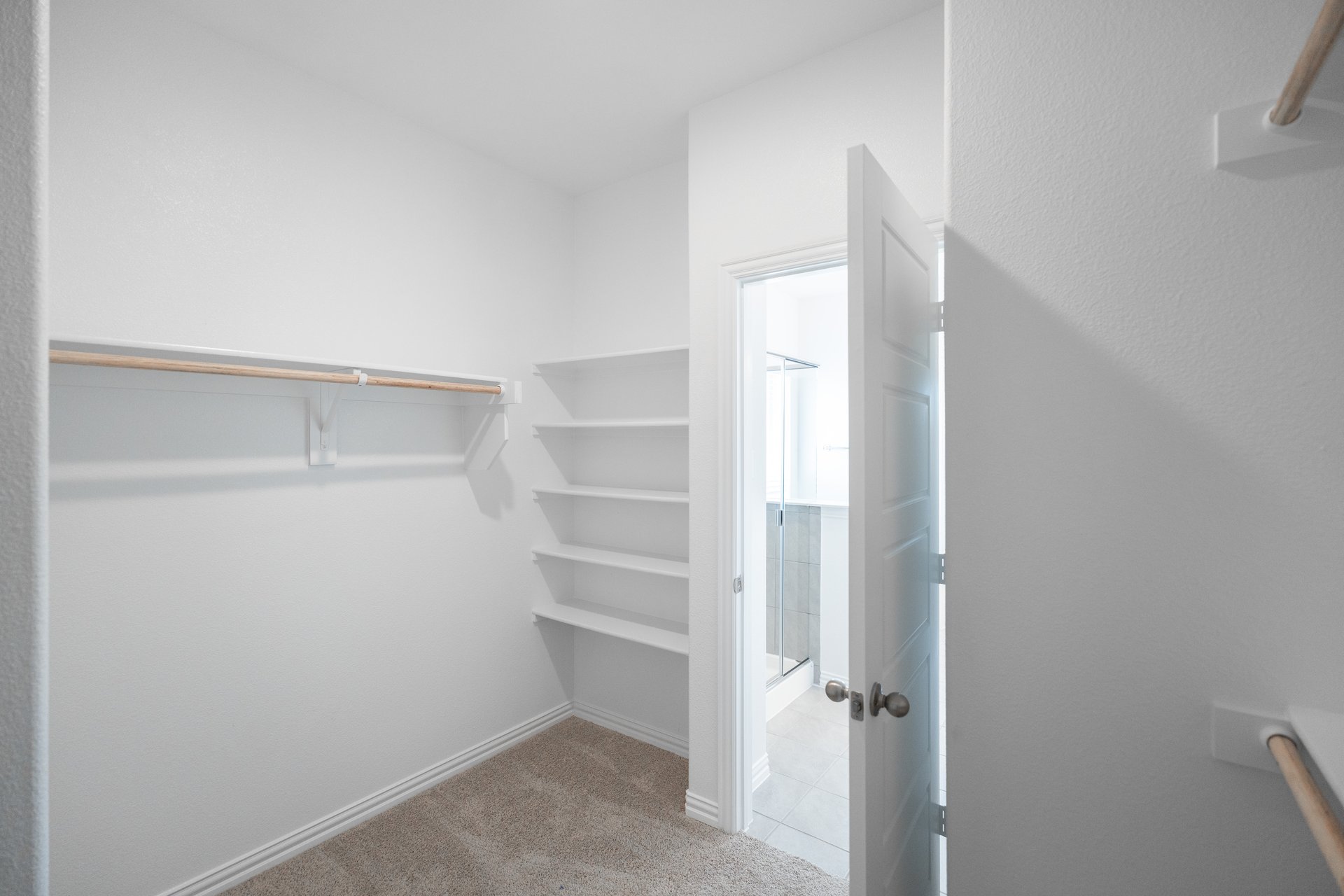 primary bedroom closet with carpet and white shelves
