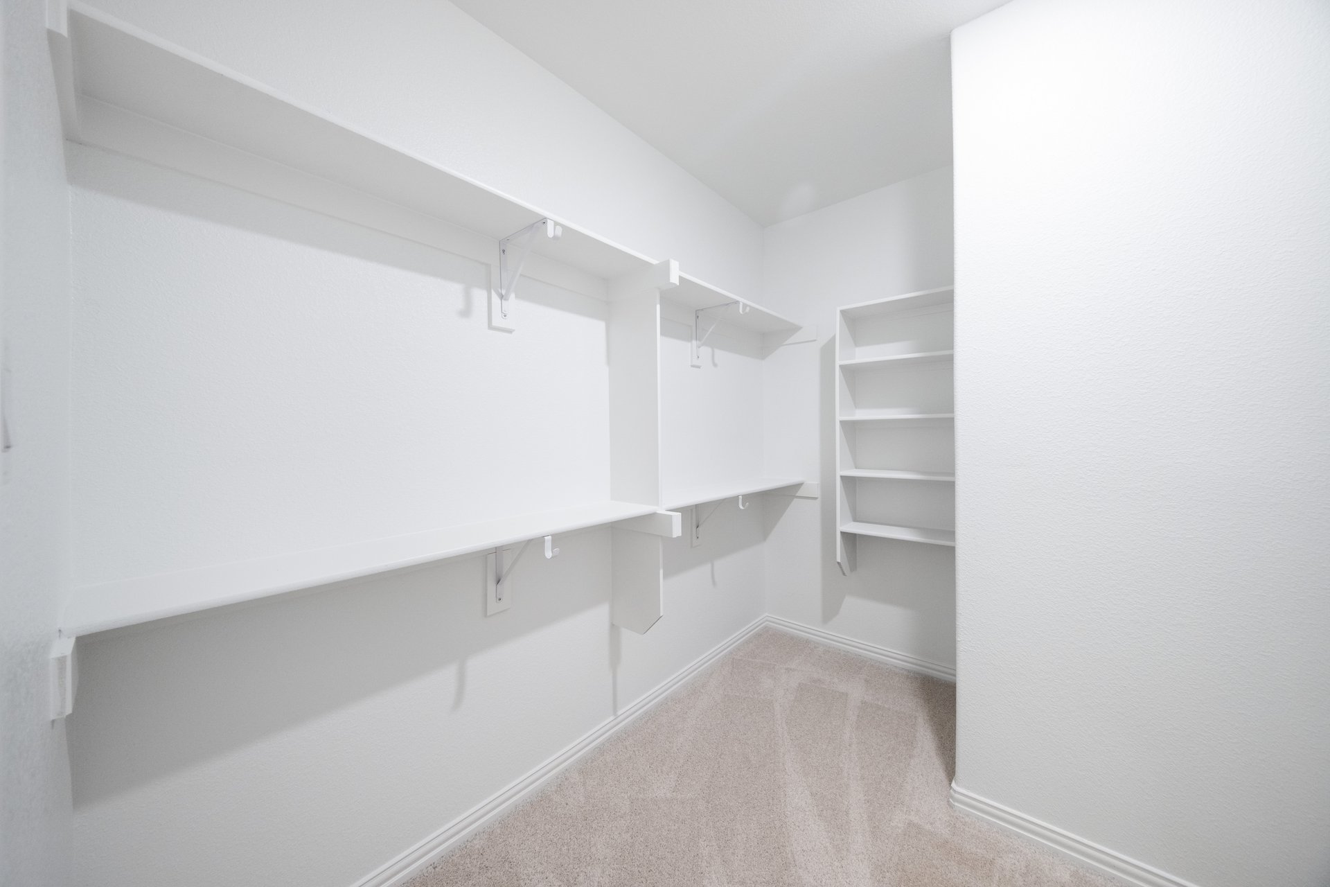 primary bedroom closet with carpet and white shelves