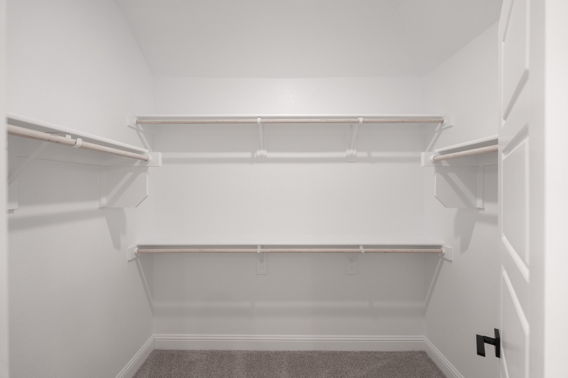 primary bedroom closet with carpet and white shelves