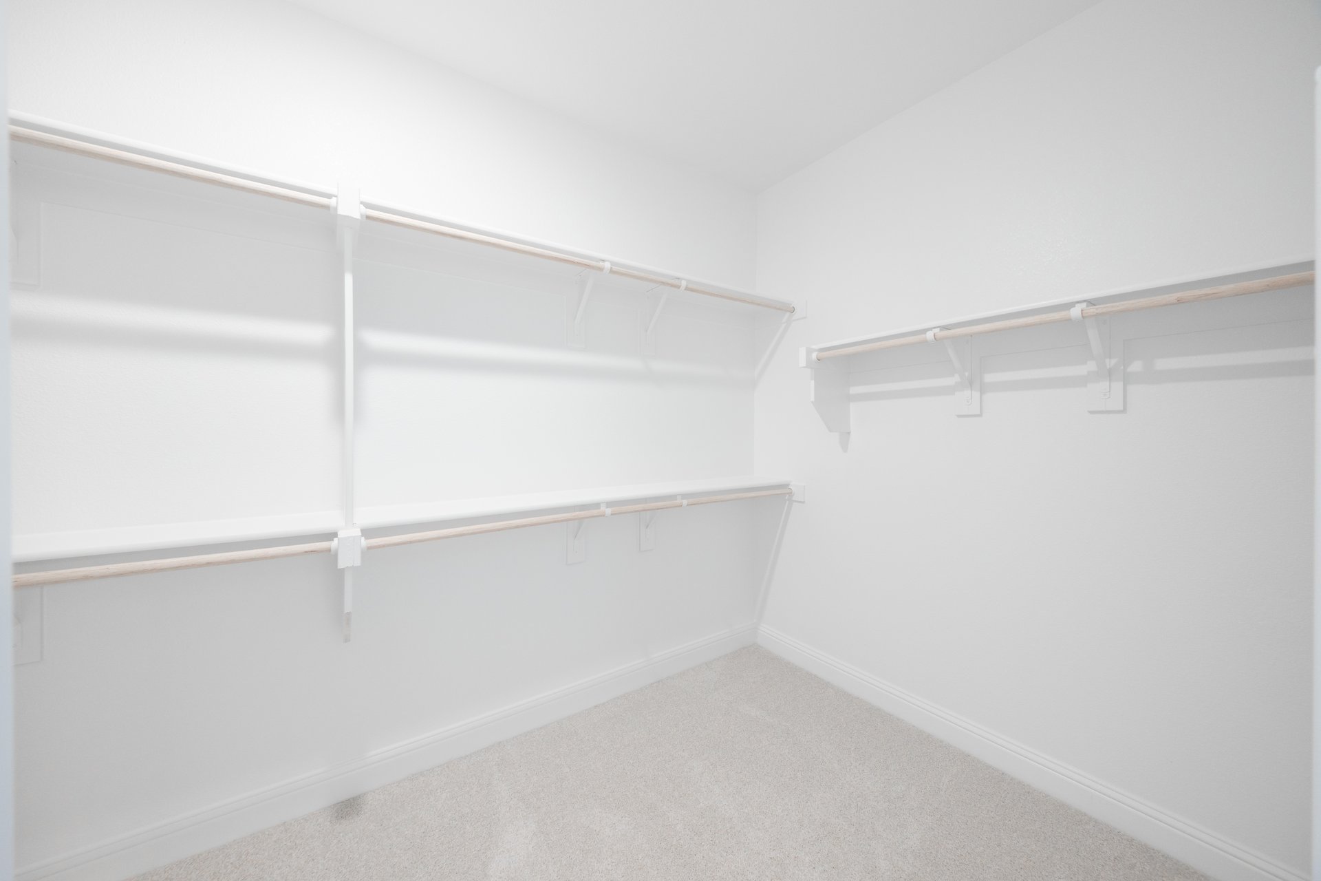 primary bedroom closet with carpet and white shelves