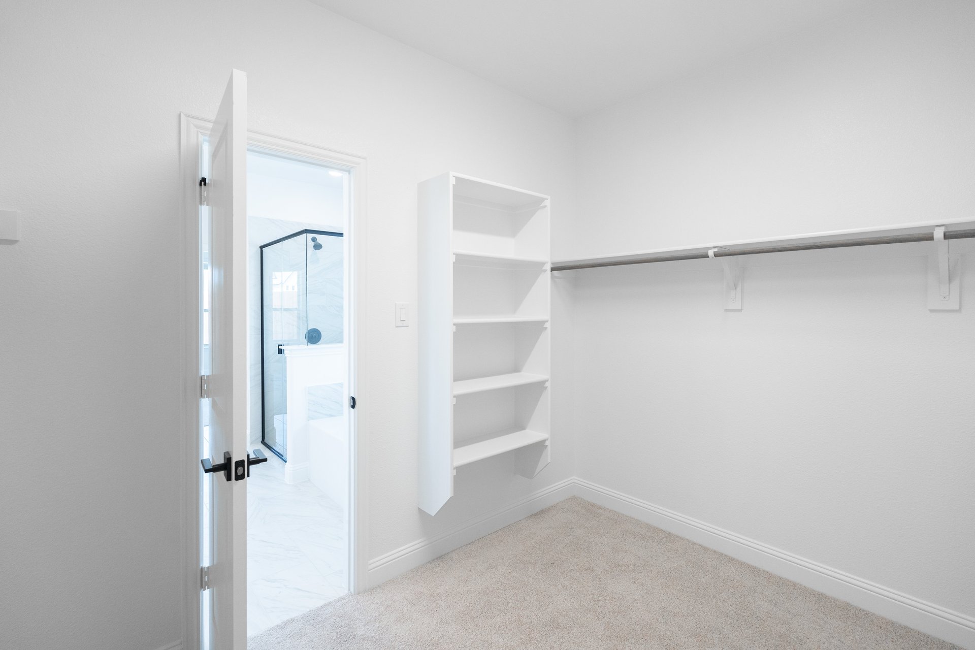 primary bedroom closet with carpet and white shelves