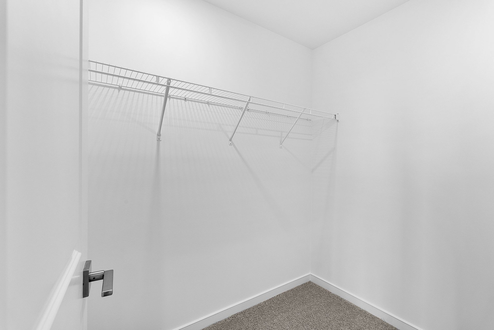 primary walk-in closet with carpet and a wire shelf
