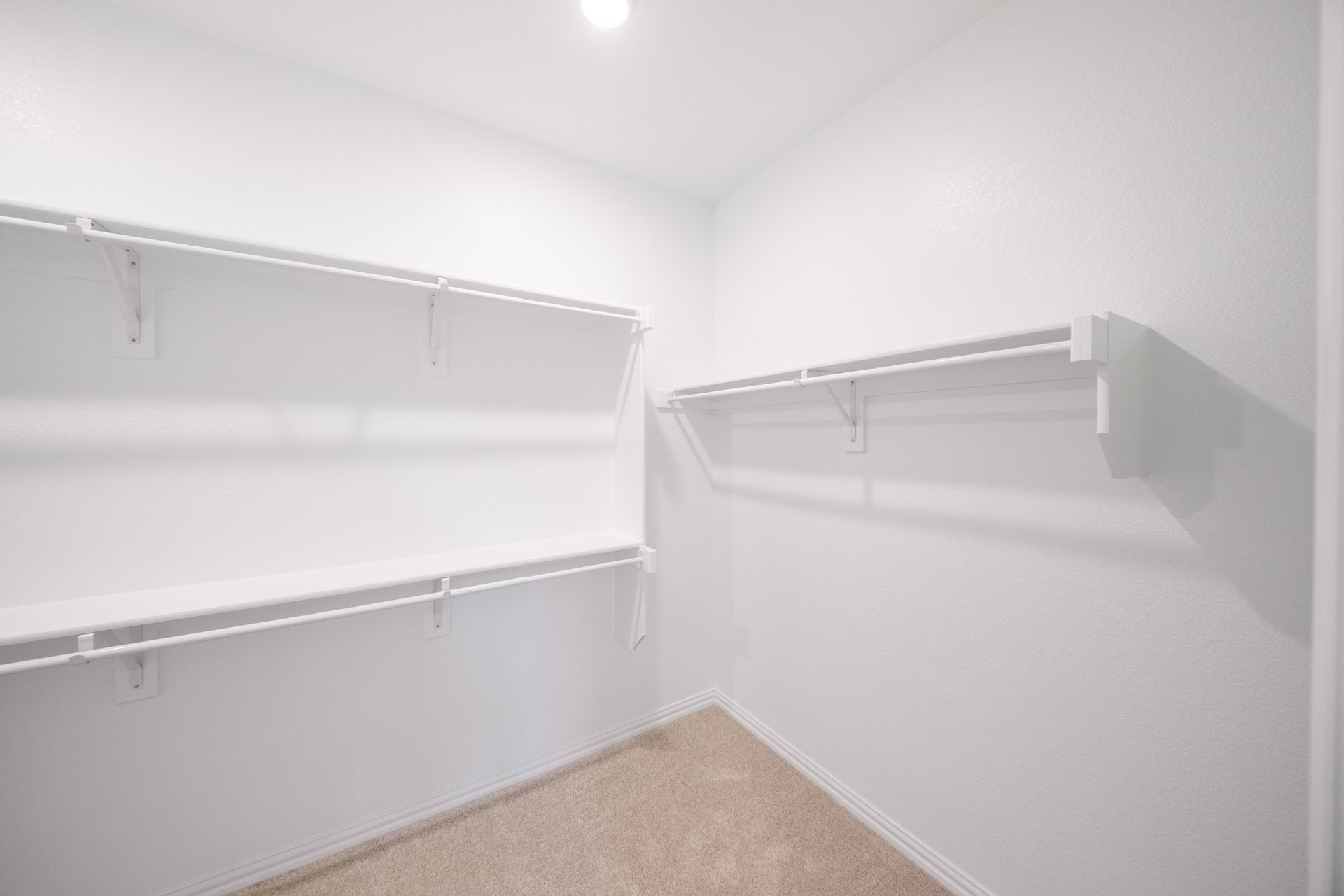 primary bedroom closet with carpet and white shelves