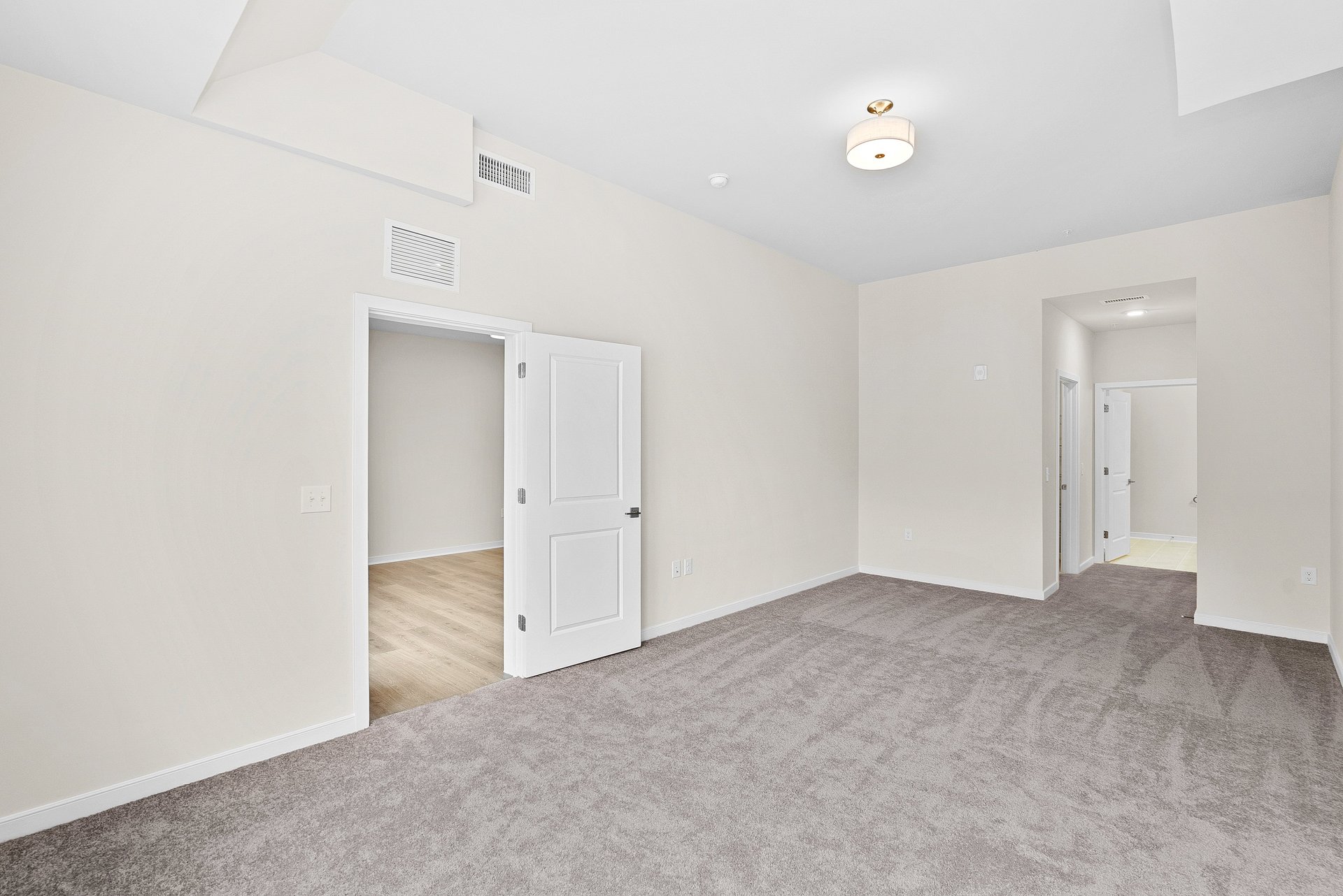 primary bedroom with carpet and overhead lighting