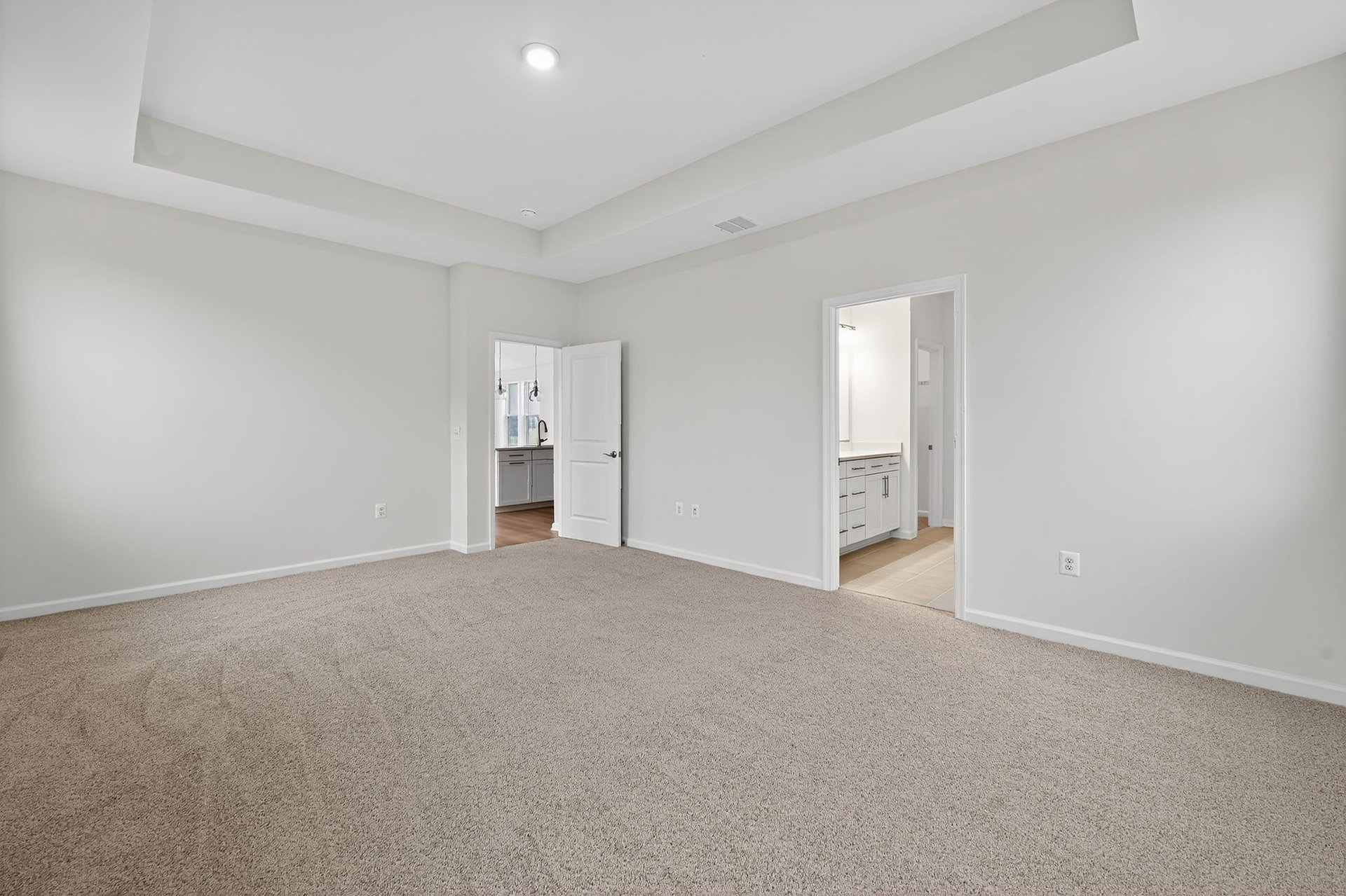 primary bedroom with carpet and tray ceiling