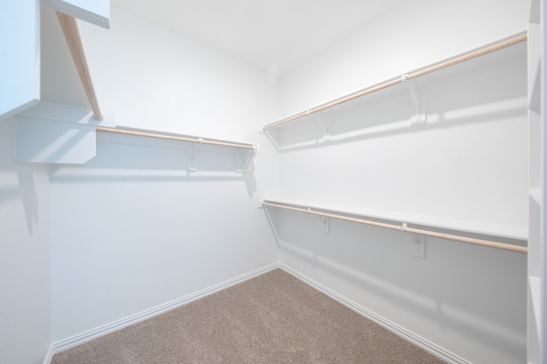 closet with hanging racks and carpet 